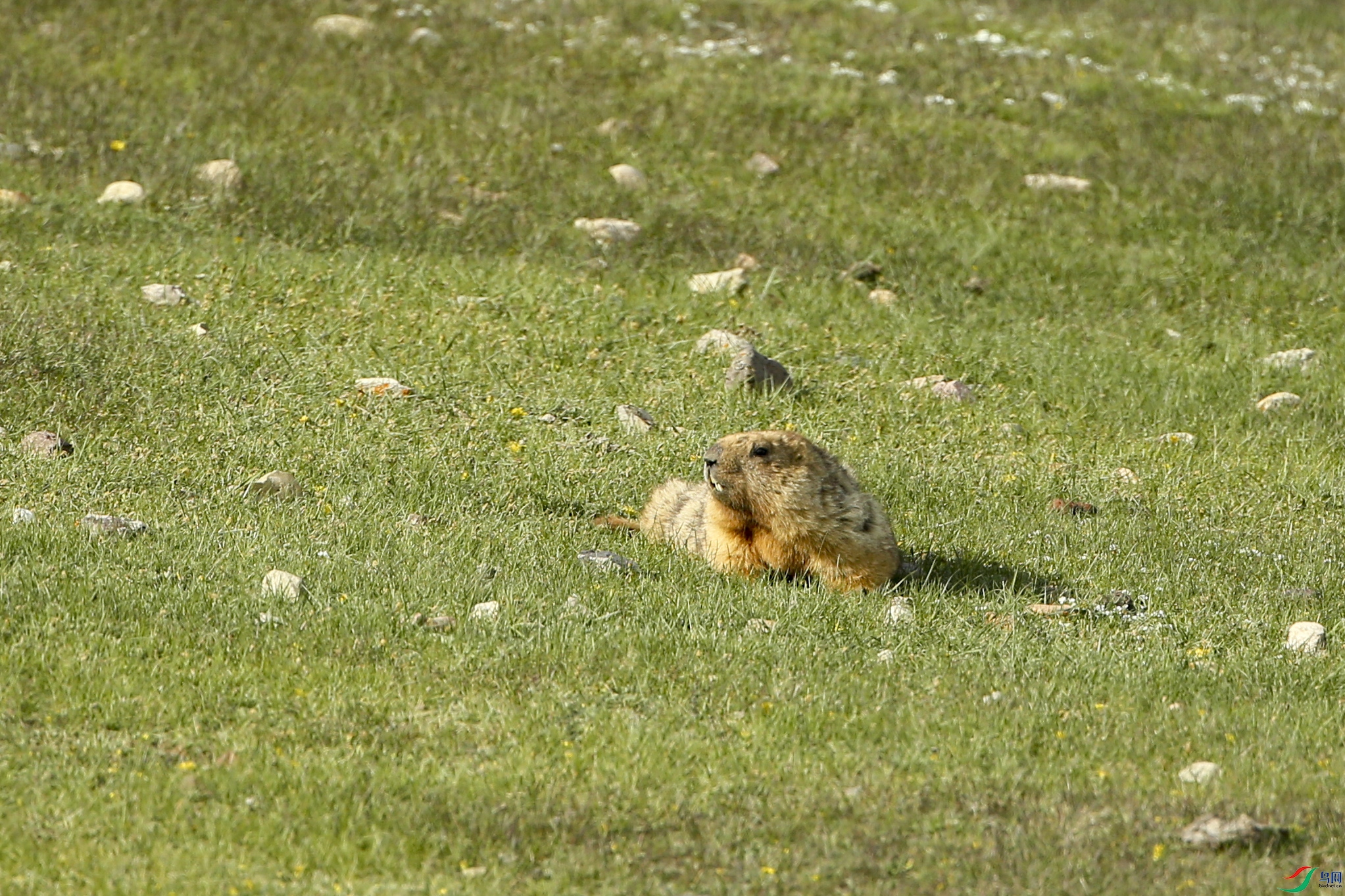 AB1I8712.JPG