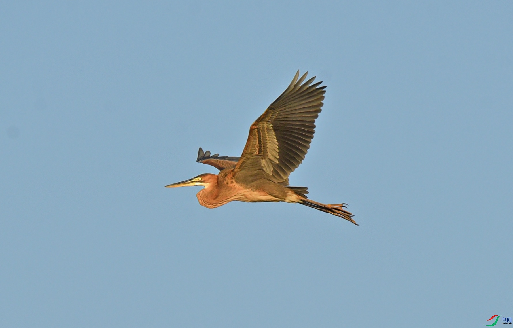 DSC_9612.jpg