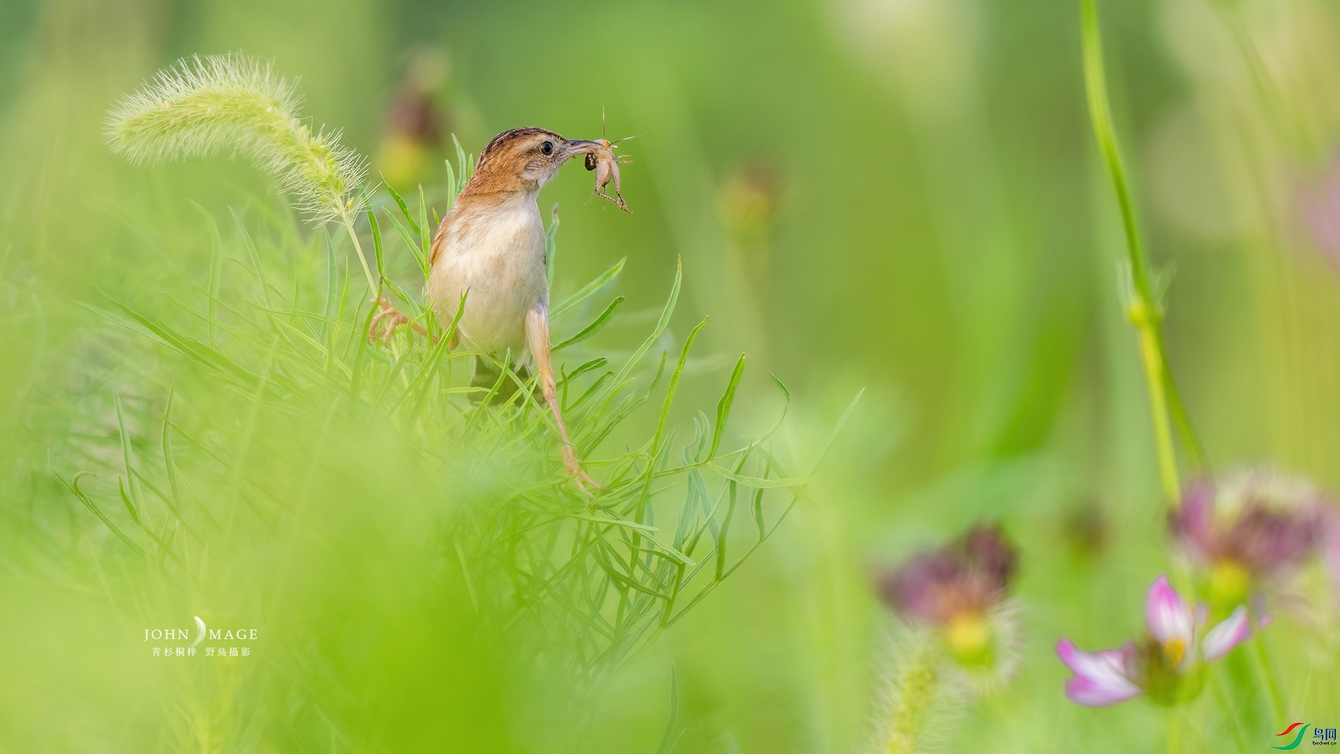 ����βݺP7141524-DeNoiseAI-low-light-1.jpg