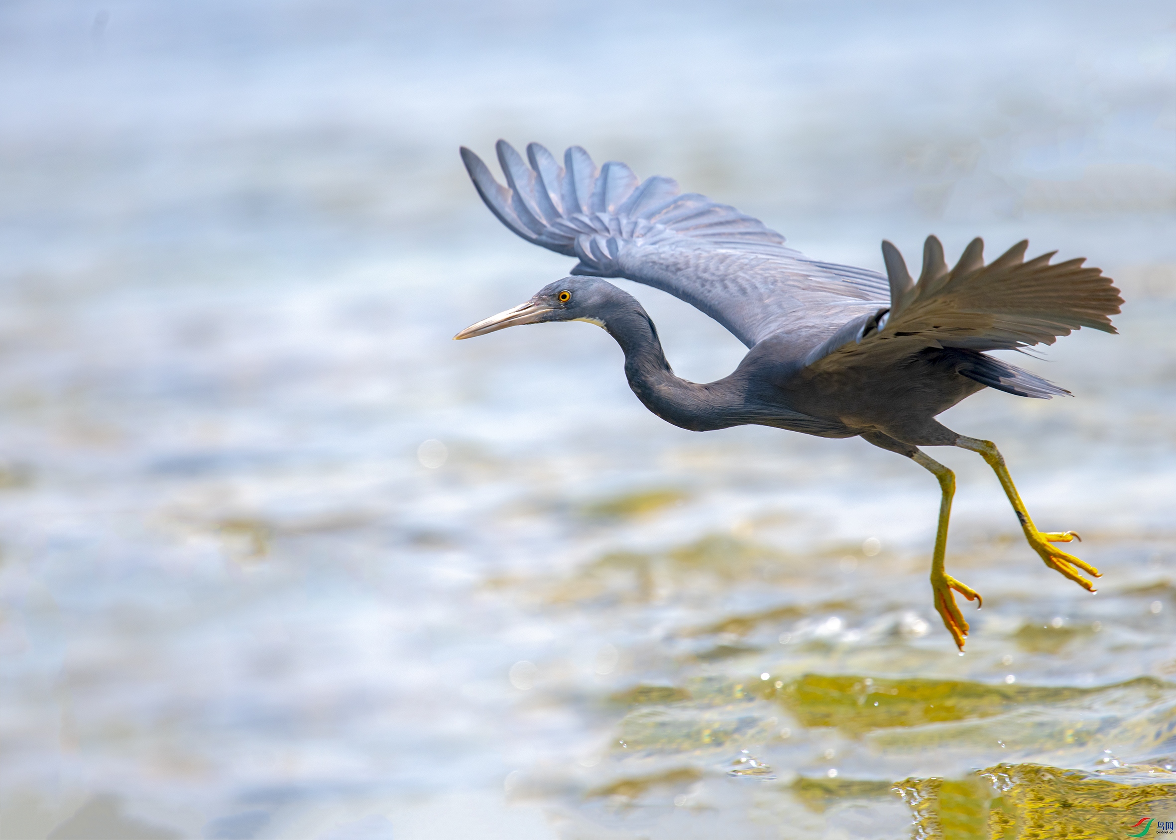 1889 ����.jpg