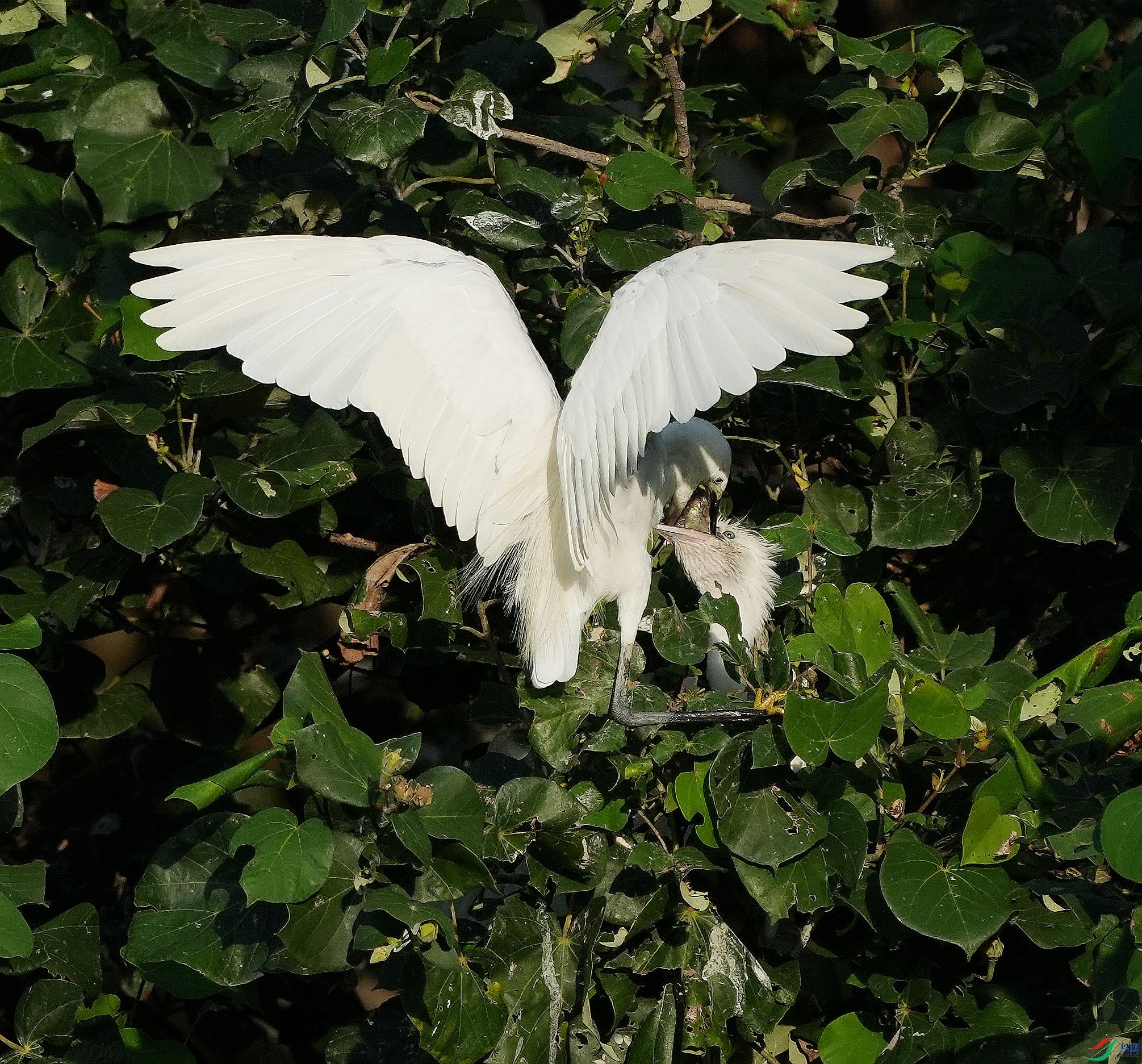 DSC03870.JPG