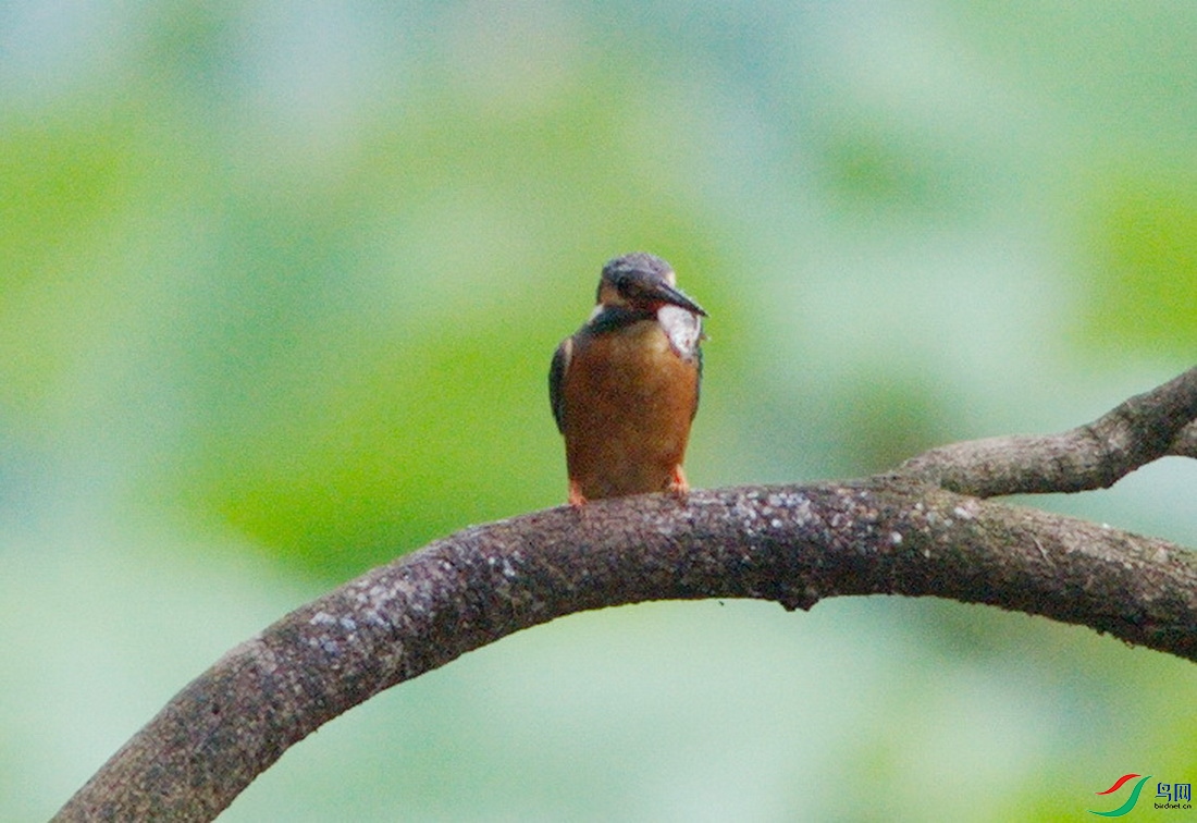 DSC_8966zx_������С.jpg