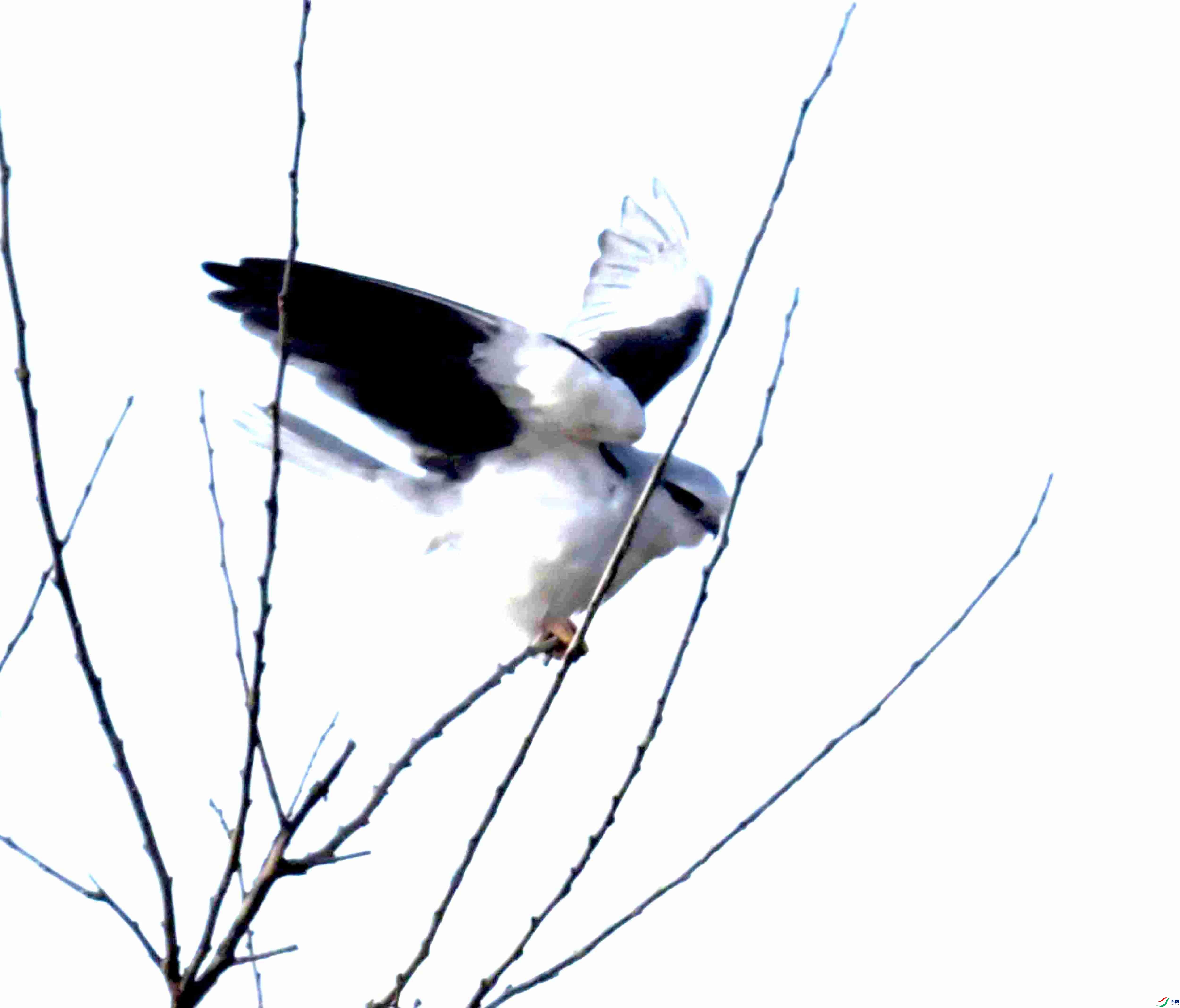 DSC_5059.JPG