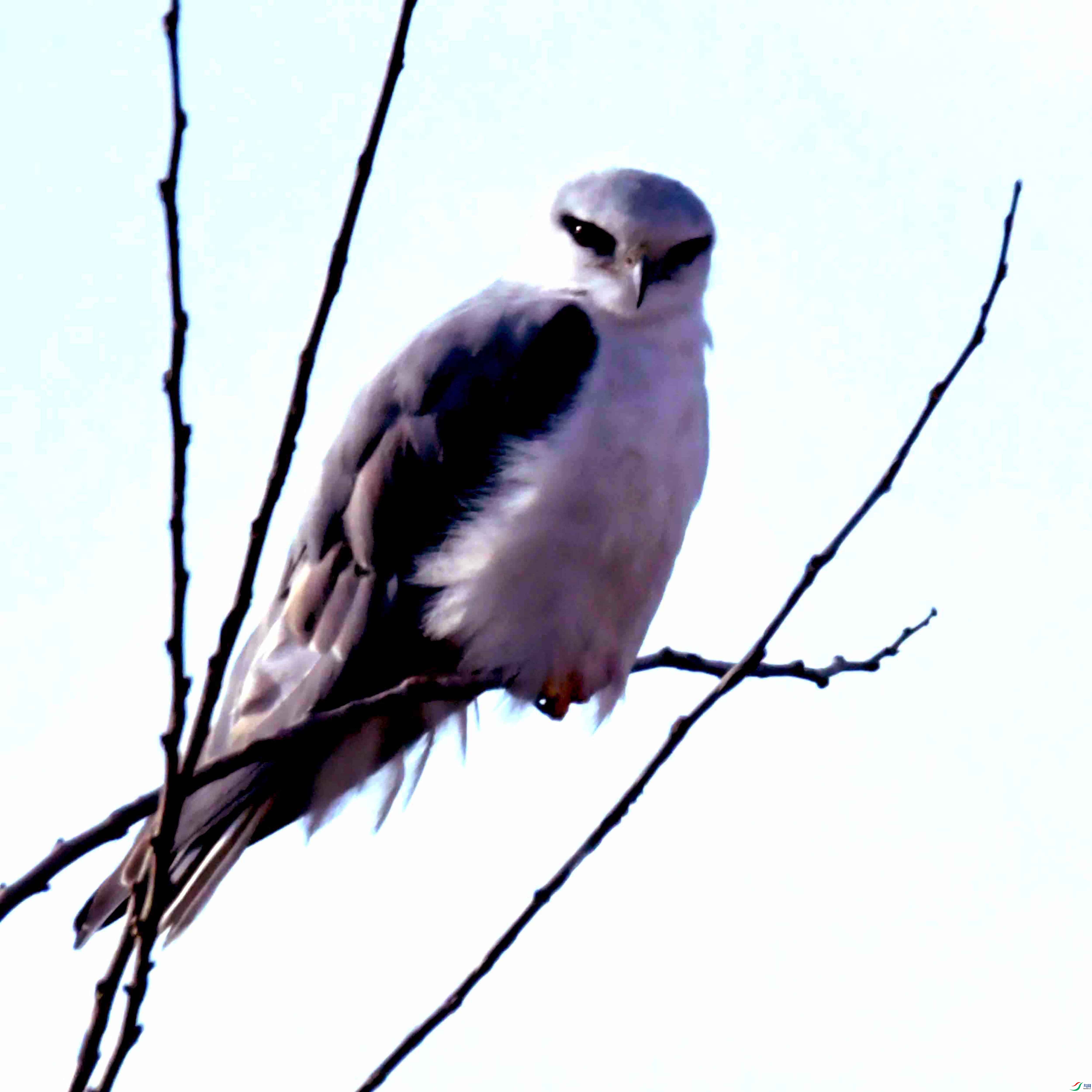 DSC_5136.JPG