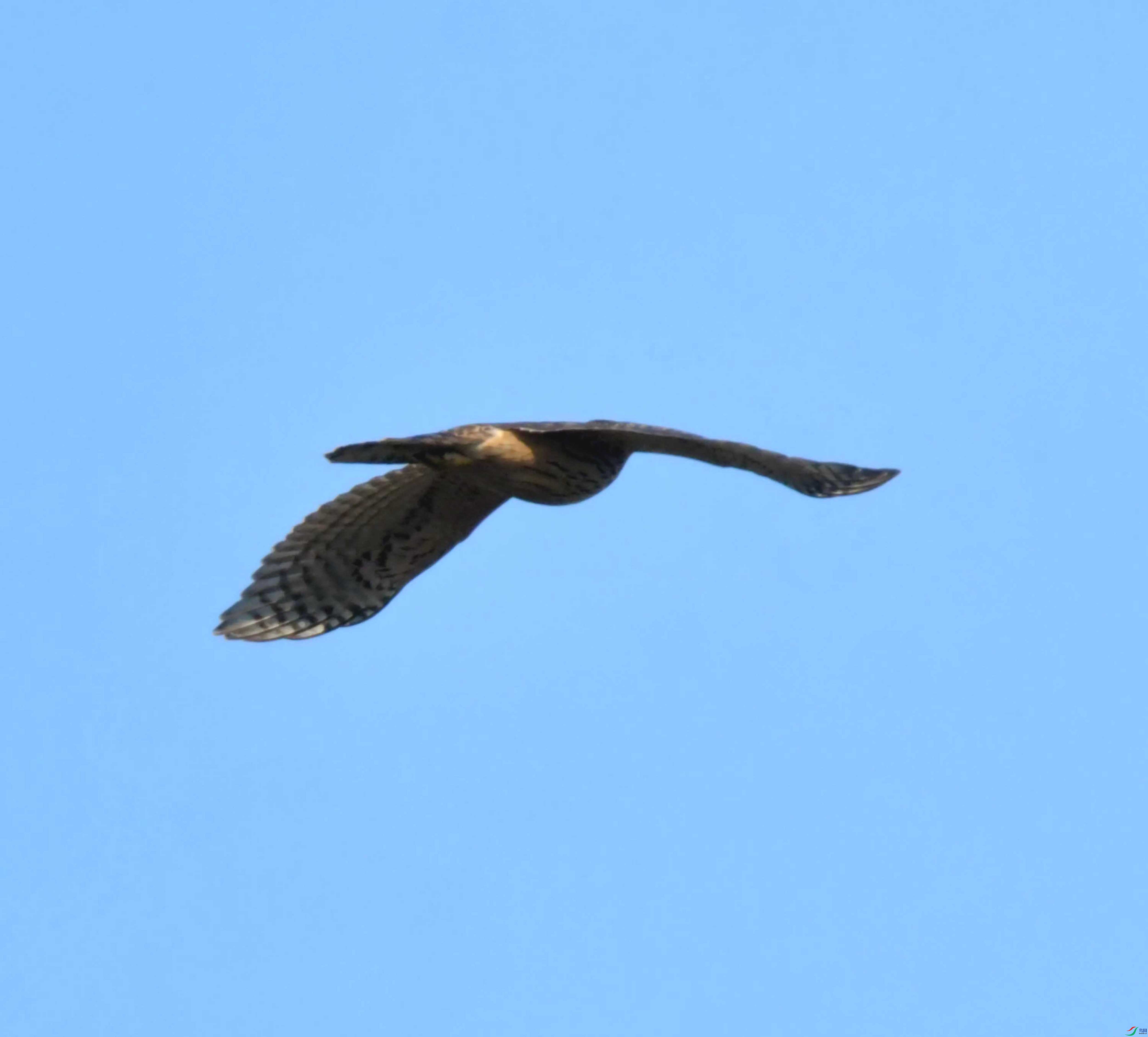 DSC_6514.JPG