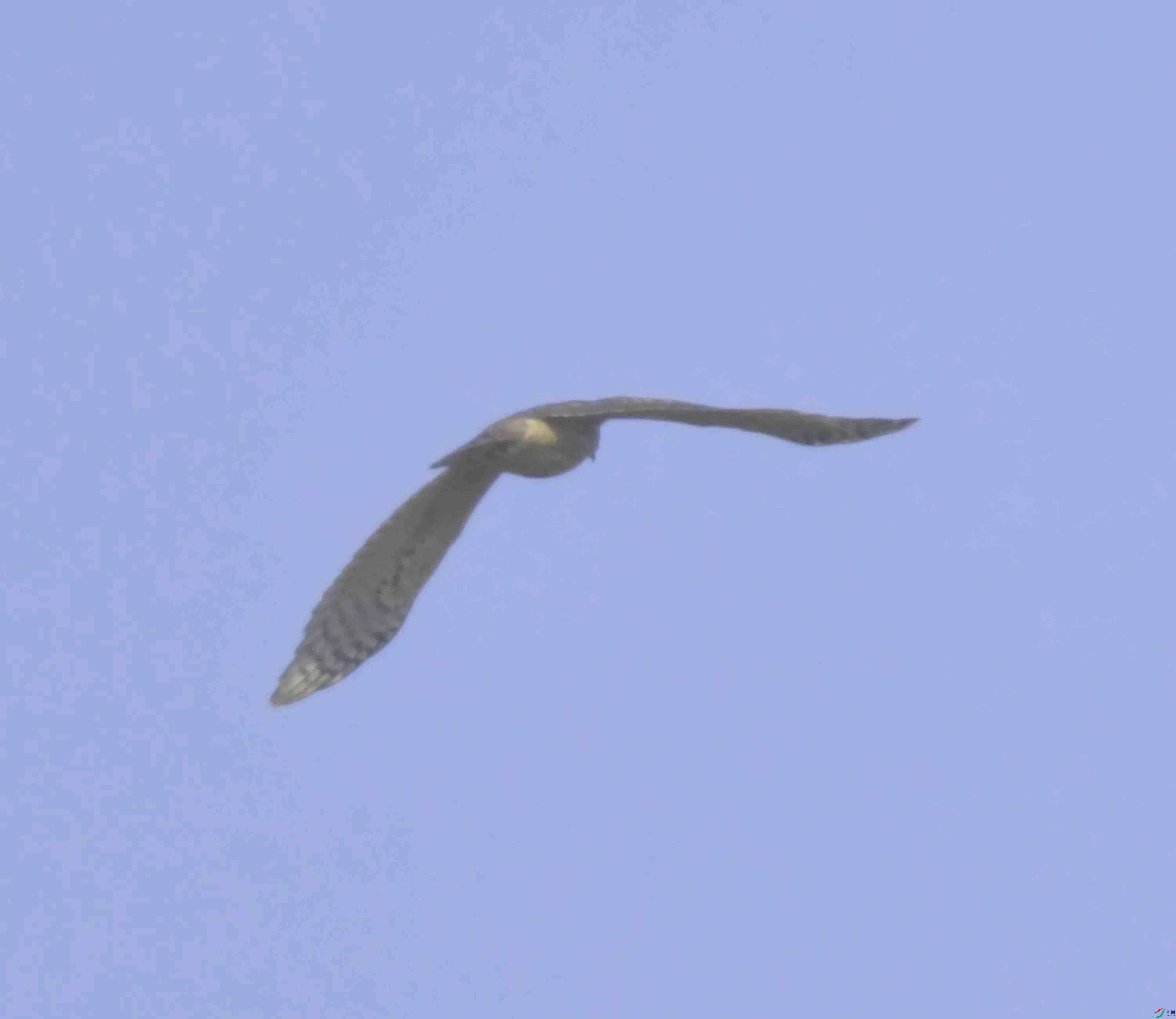 DSC_6521.JPG