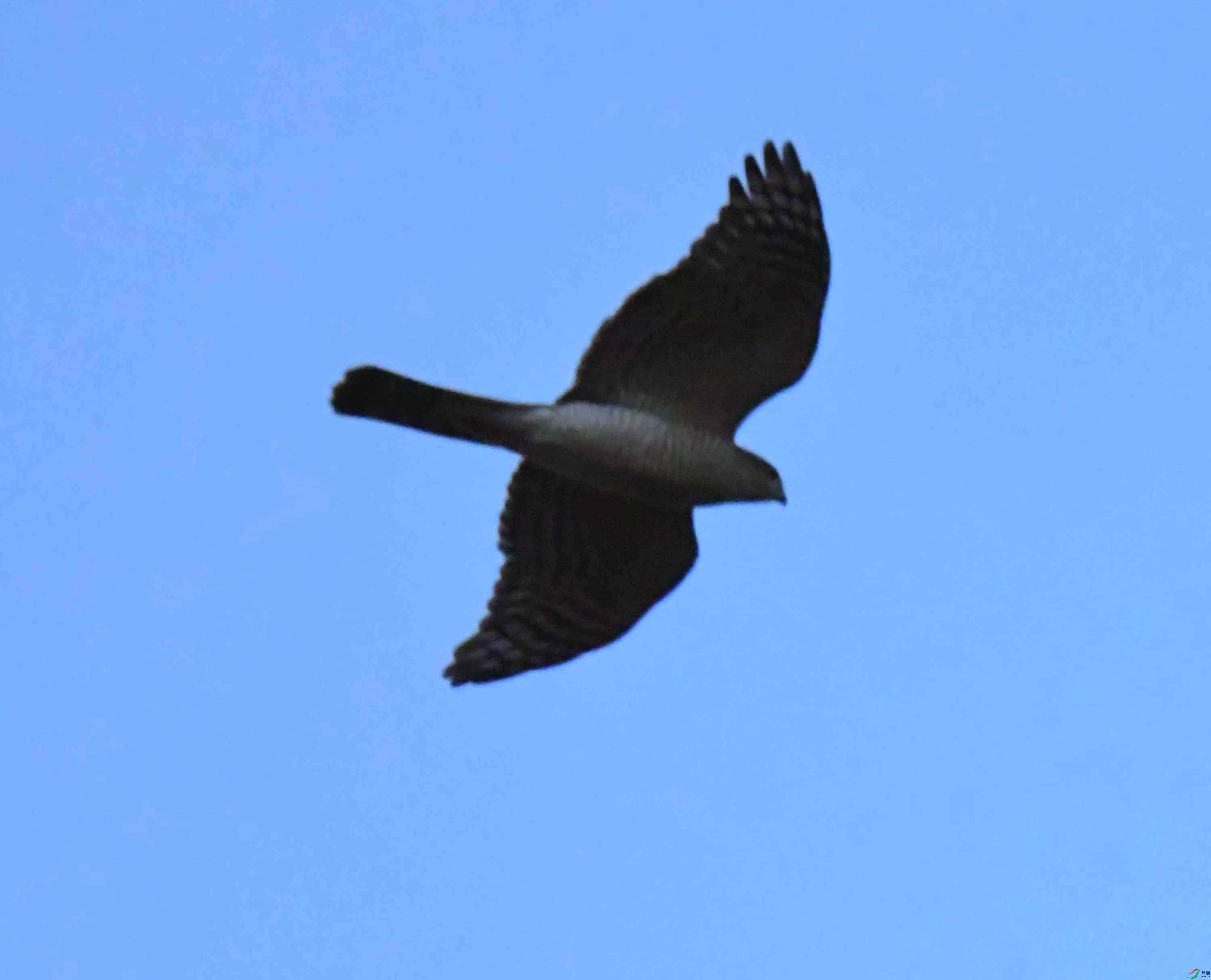 DSC_8873.JPG