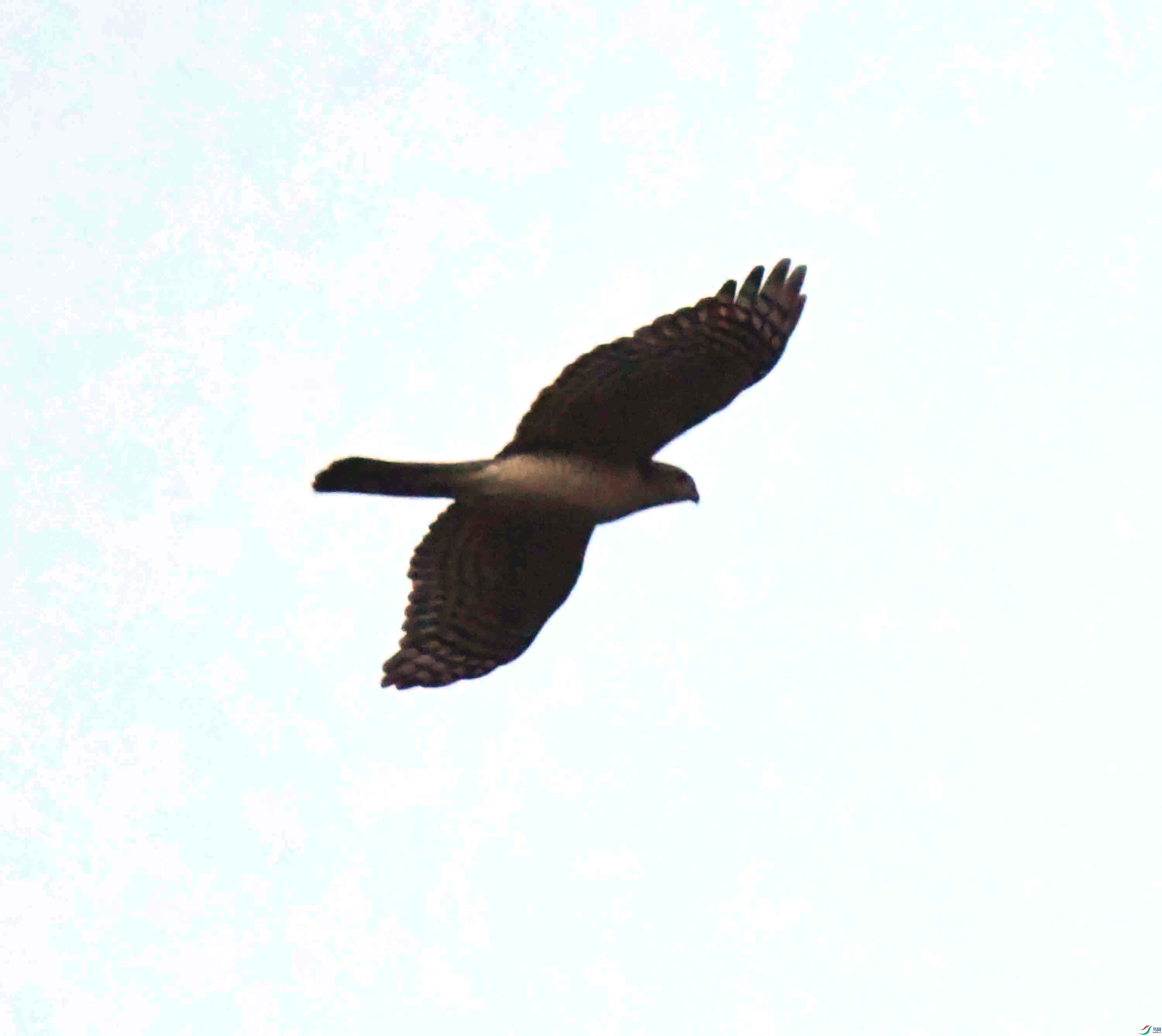 DSC_8875.JPG