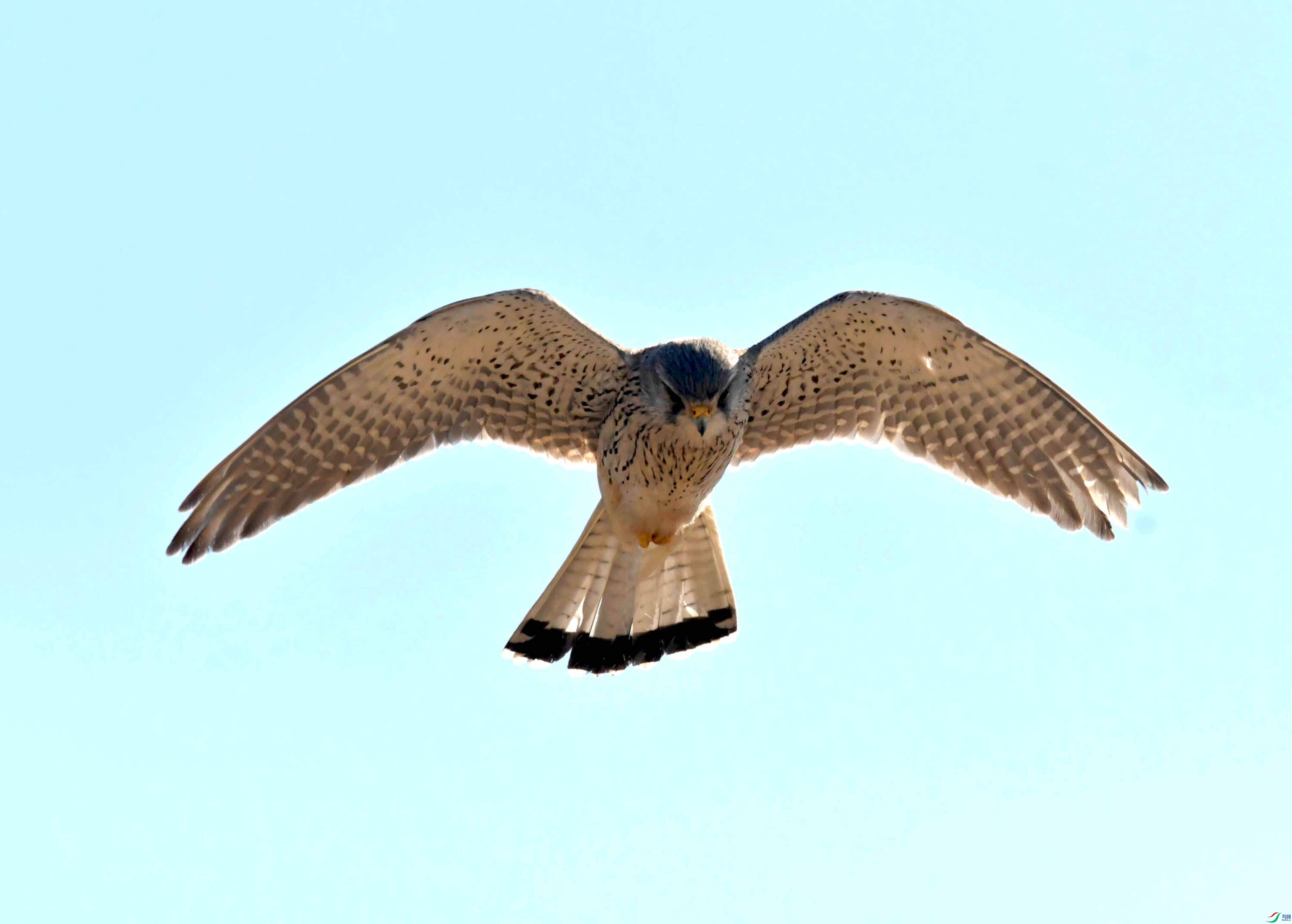 DSC_2880.JPG