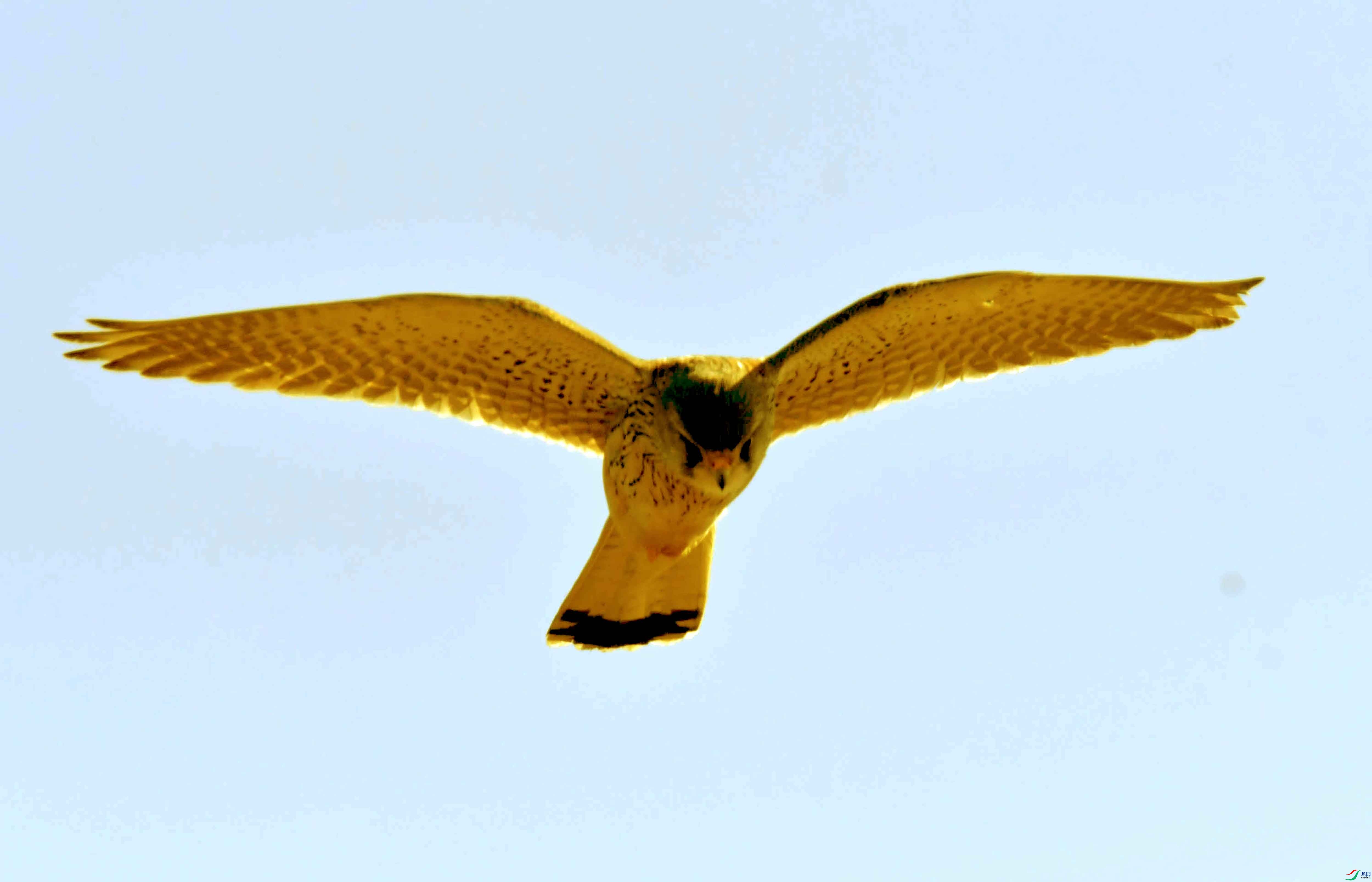 DSC_2886.JPG