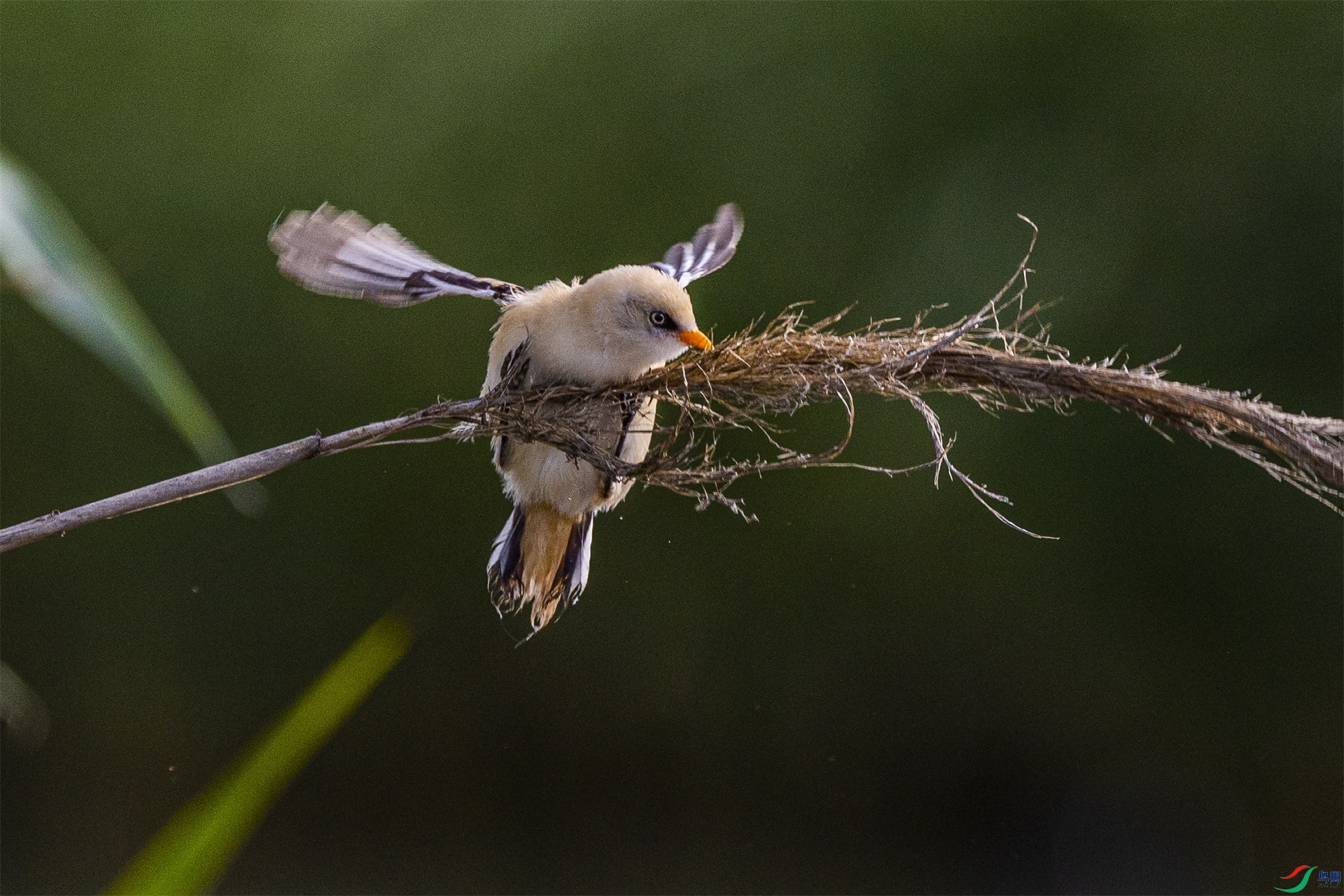 1K3A5107 ����1.jpg