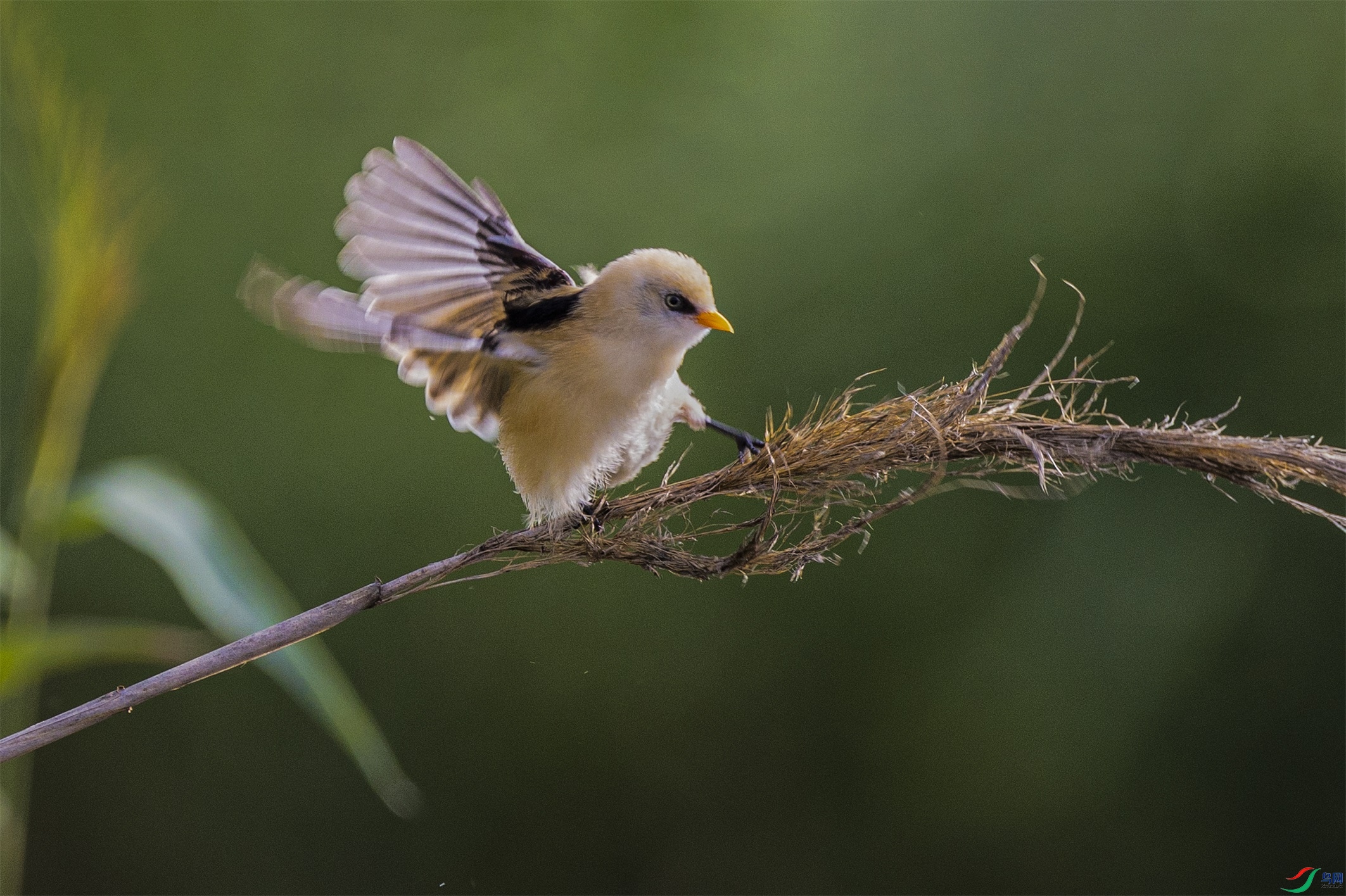 1K3A5110 ����1.jpg