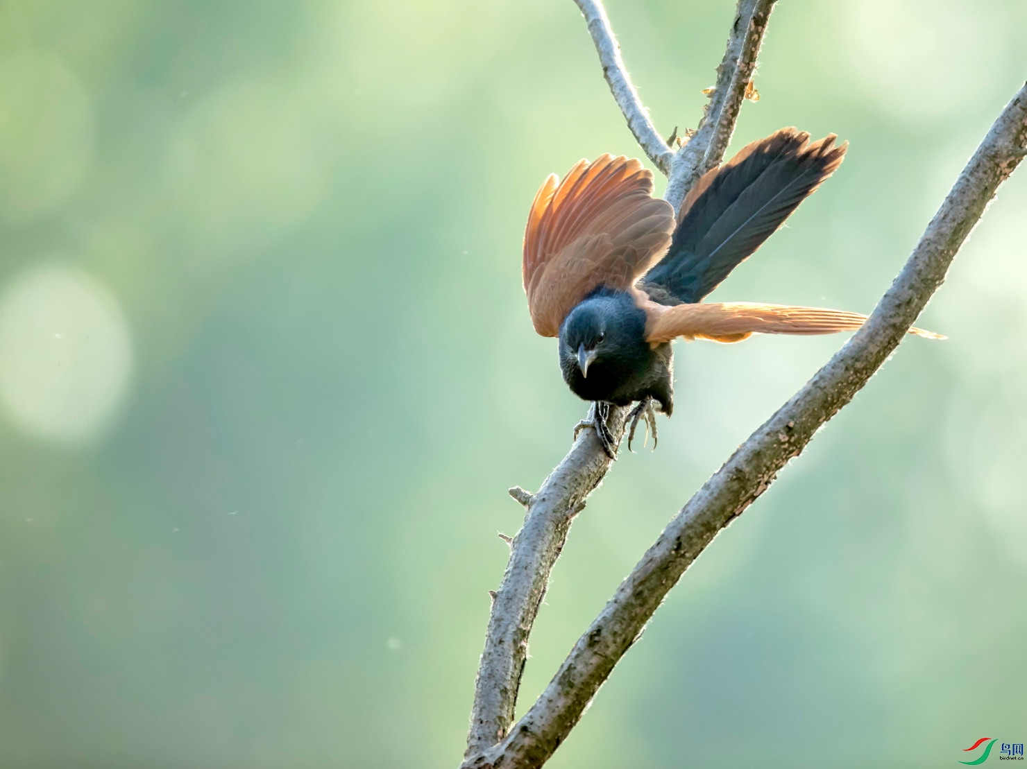 _U5I6019.jpg
