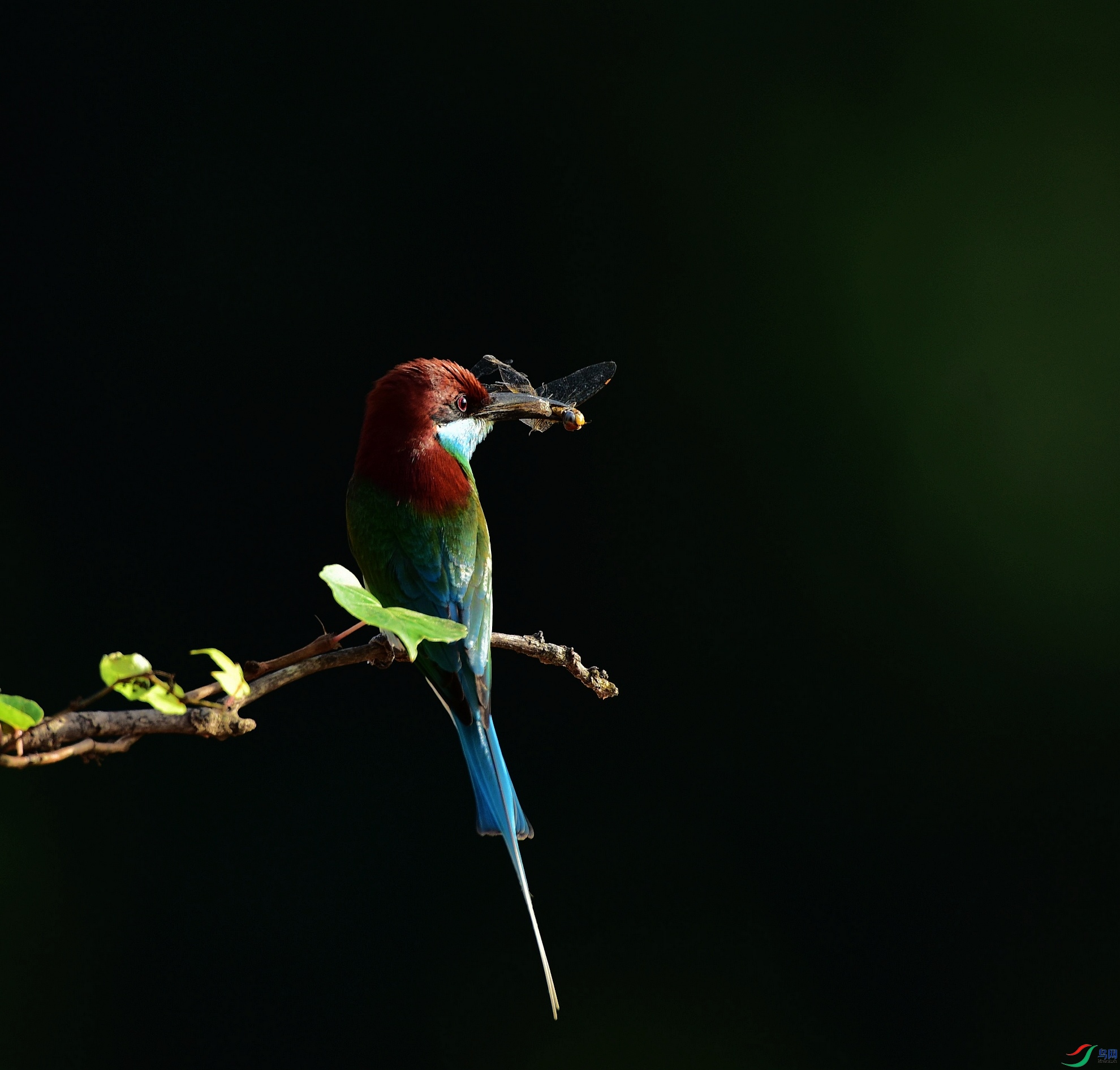 D8I_2065.jpg