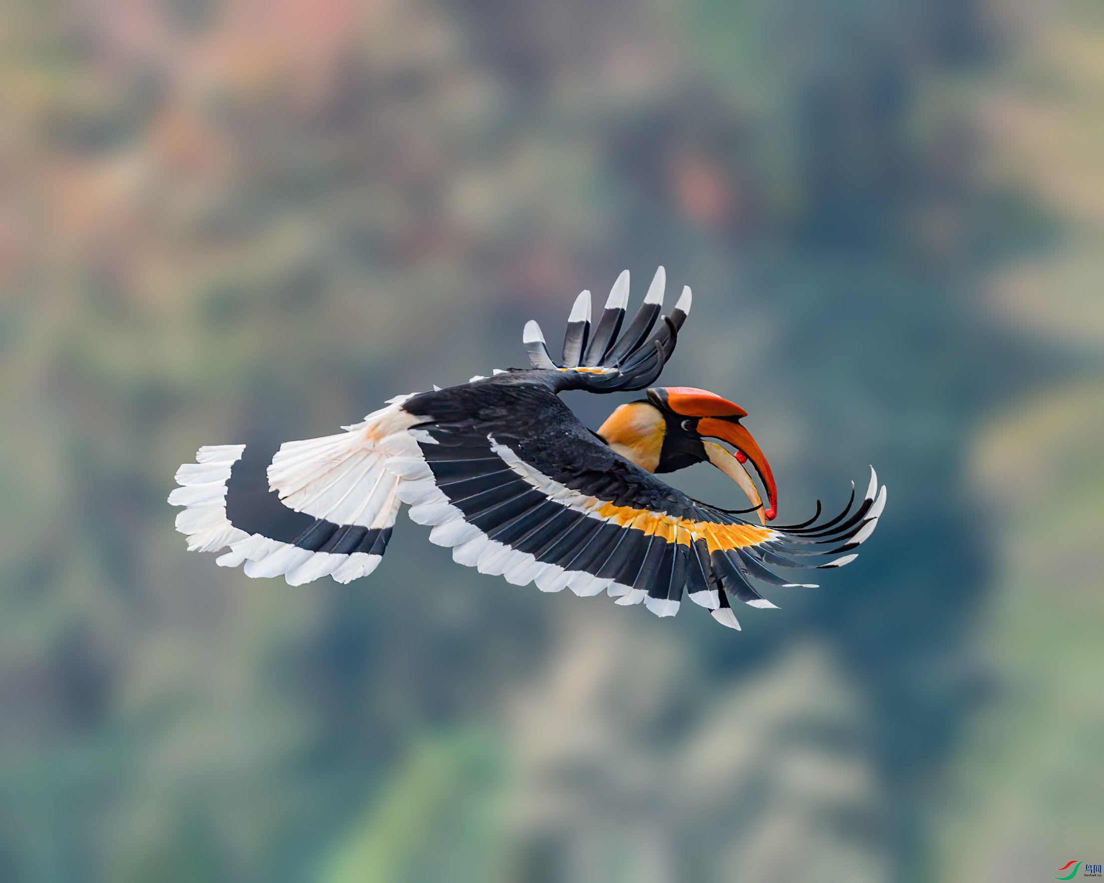 _GS12199.jpg