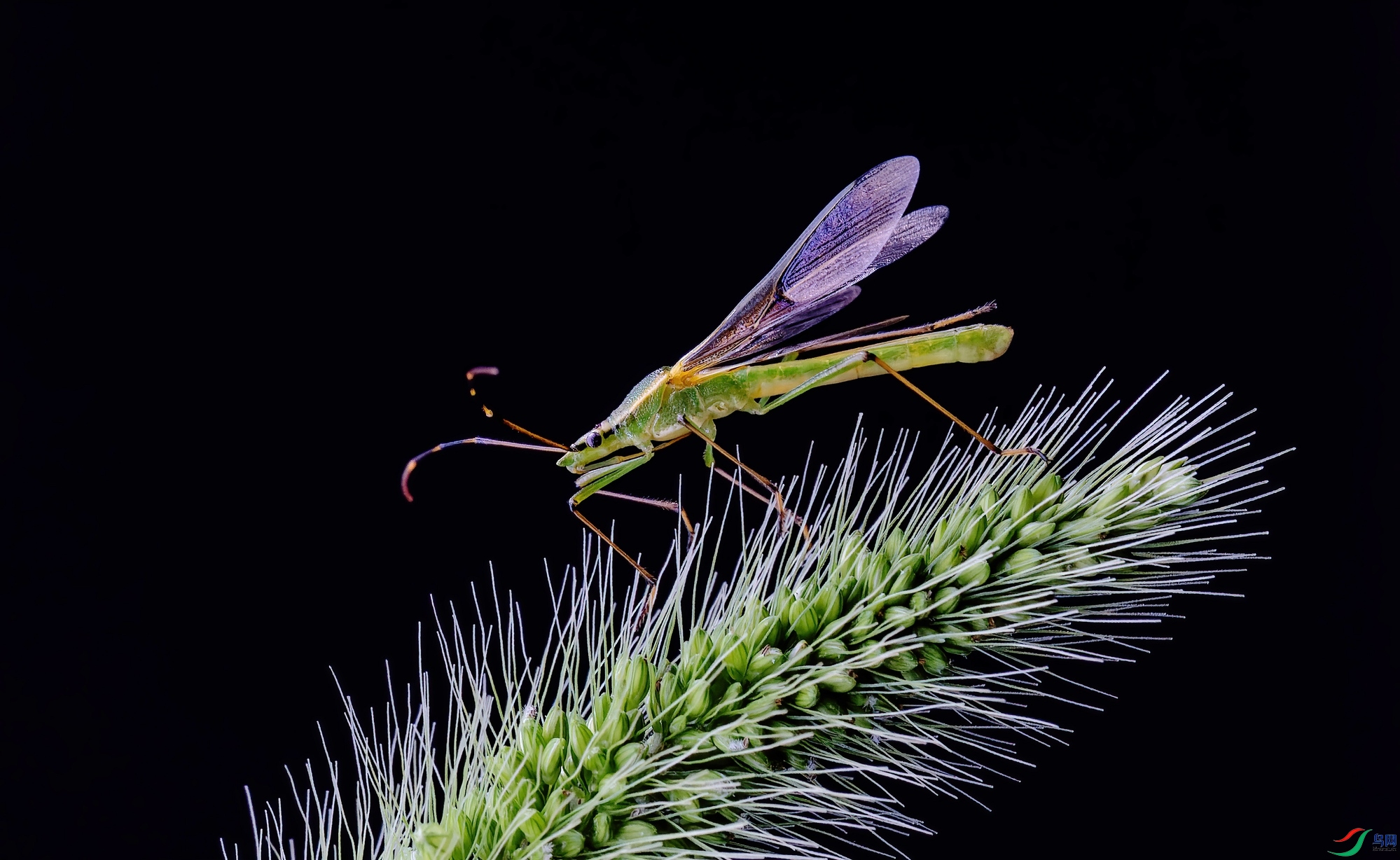 8P3A1644a.jpg