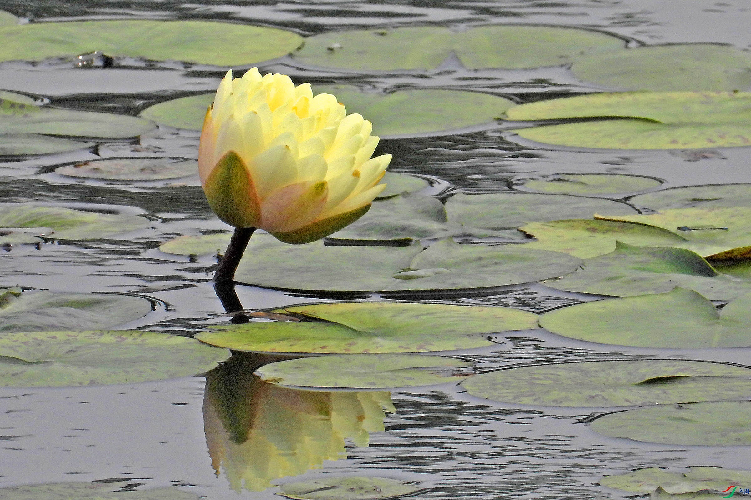 DSCN6802.JPG