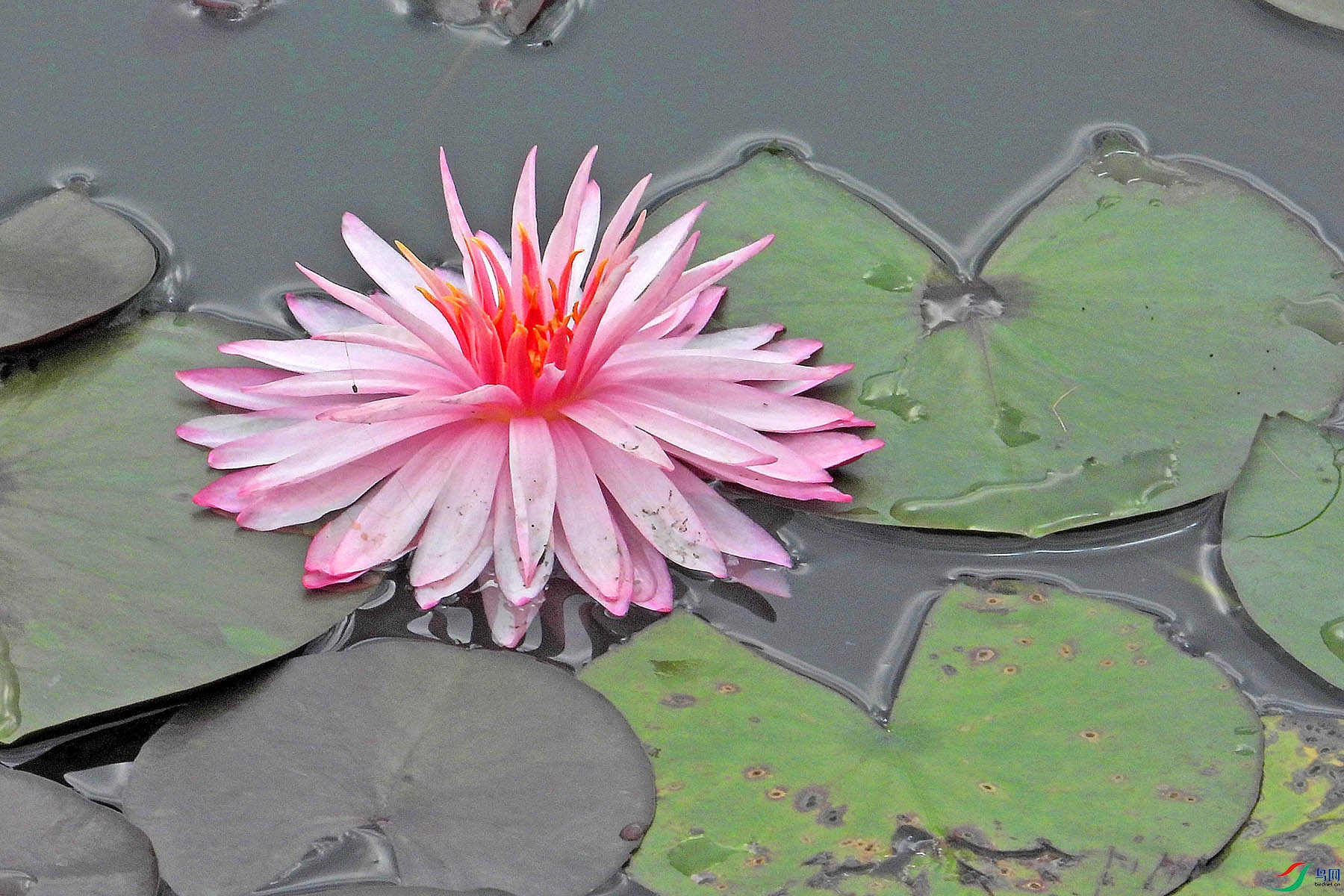 DSCN6958.JPG