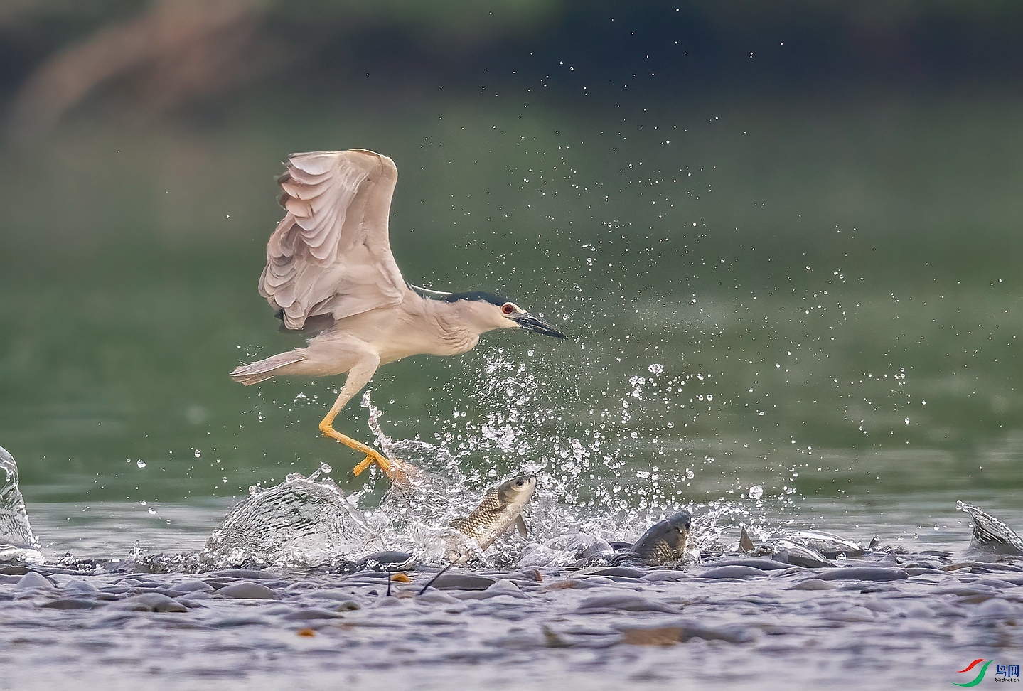 DSC_5913 ����_����.jpg