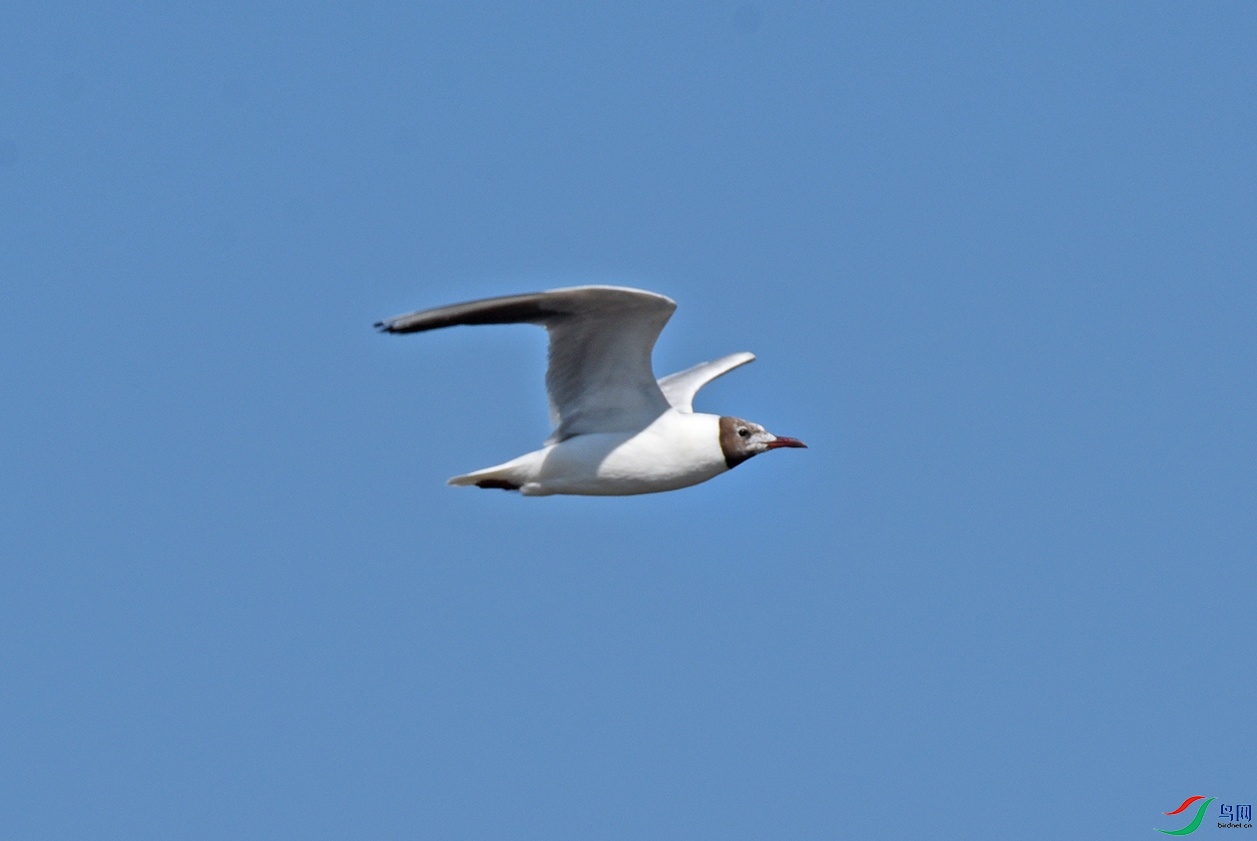 DSC_1396.jpg