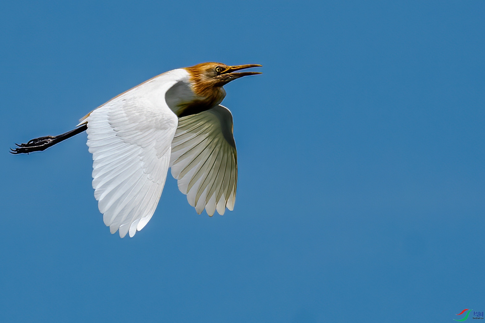 ���ɷ���2