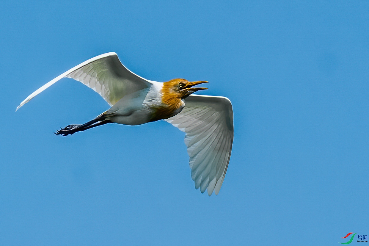 ���ɷ���3