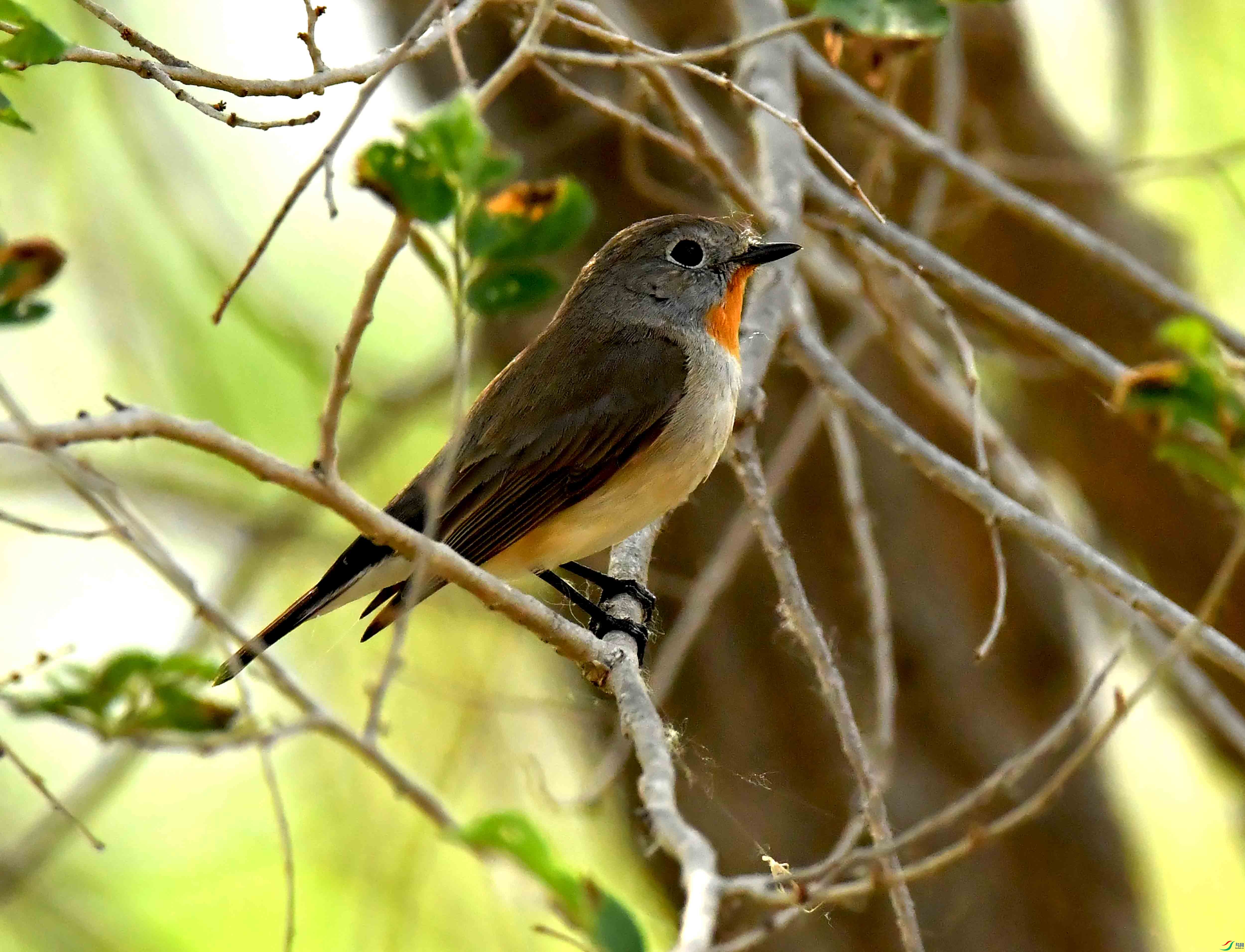 DSC_1548.JPG