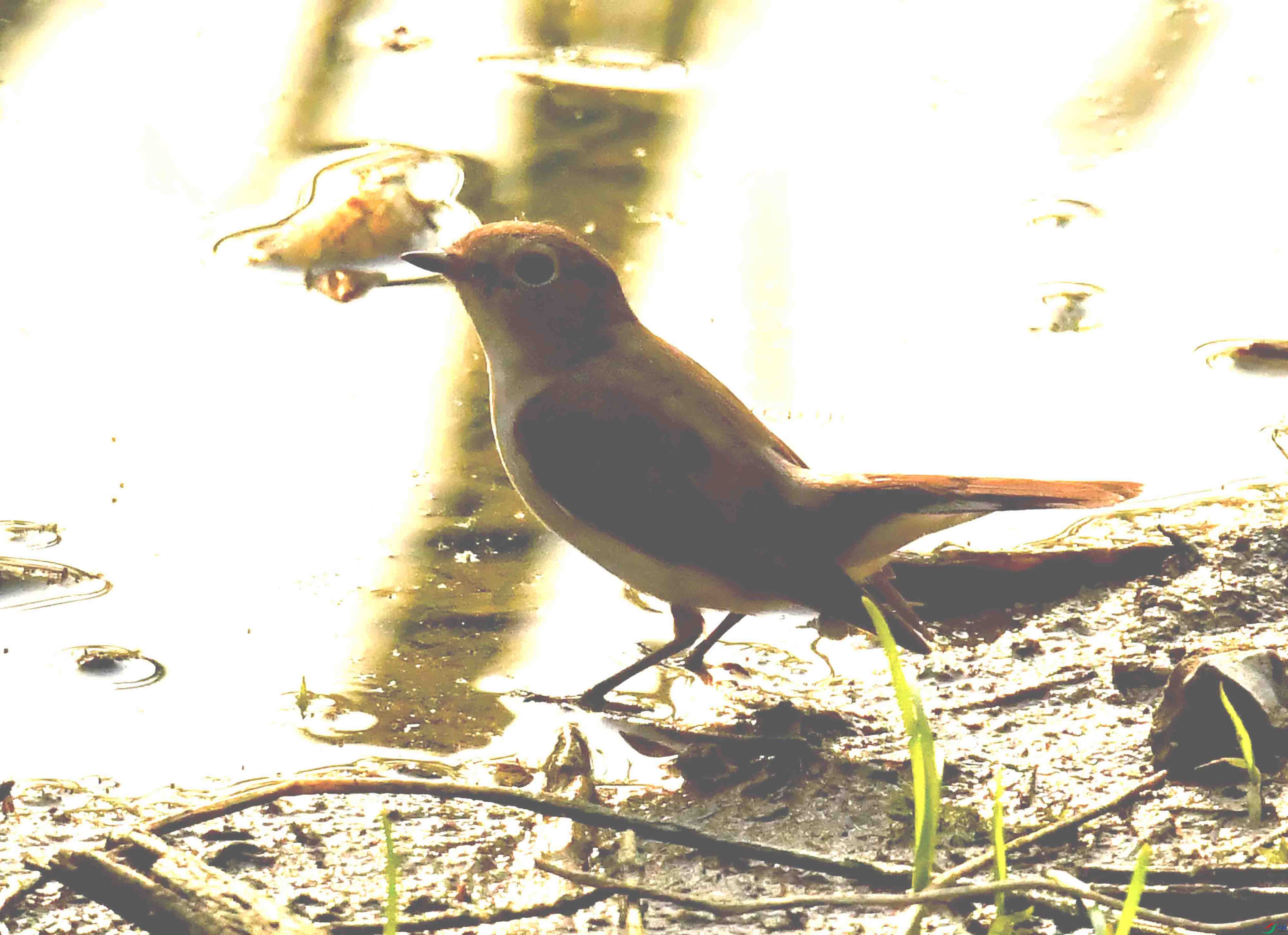 DSC_5816.JPG