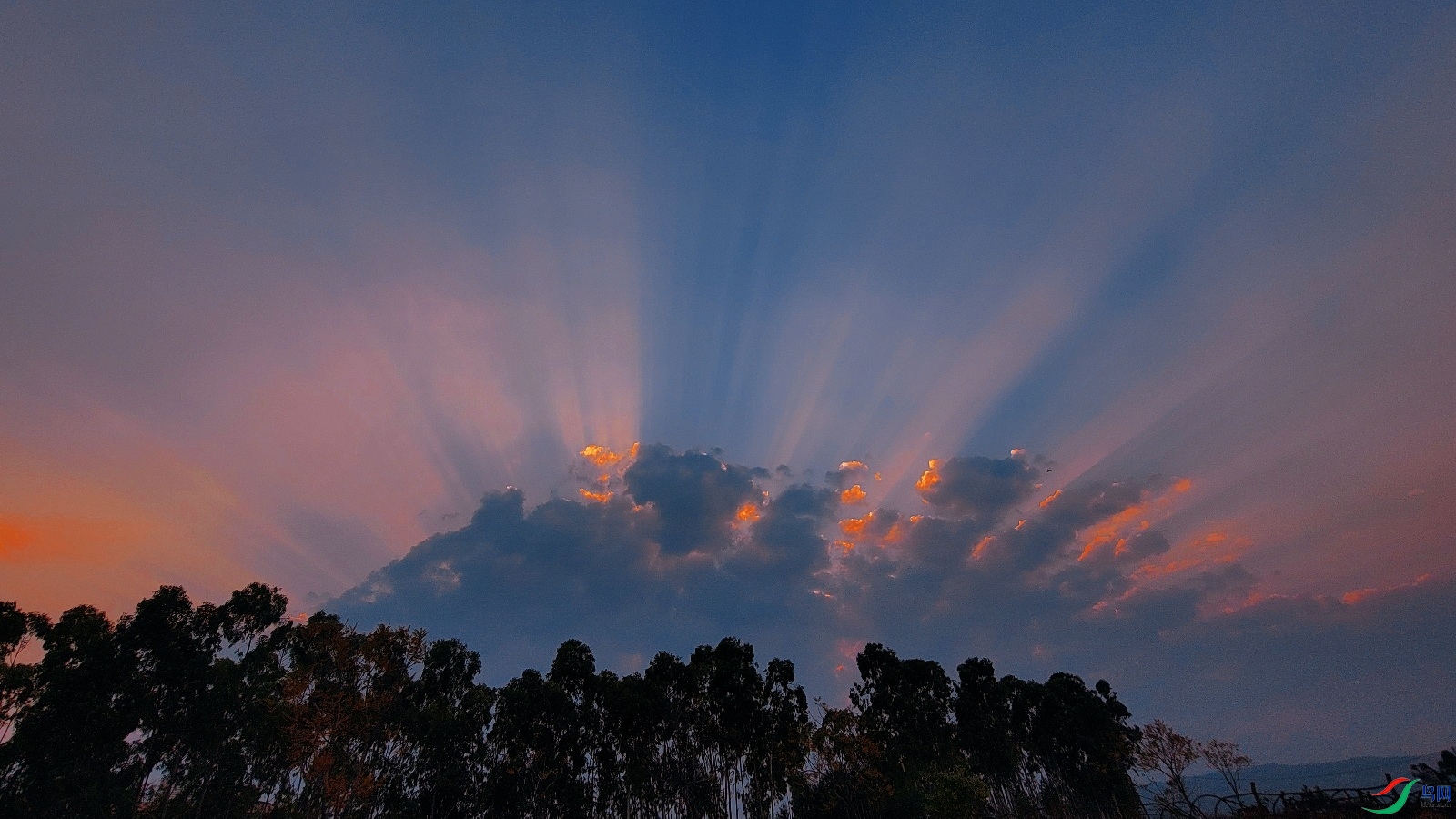 �峿��Ү�չ�