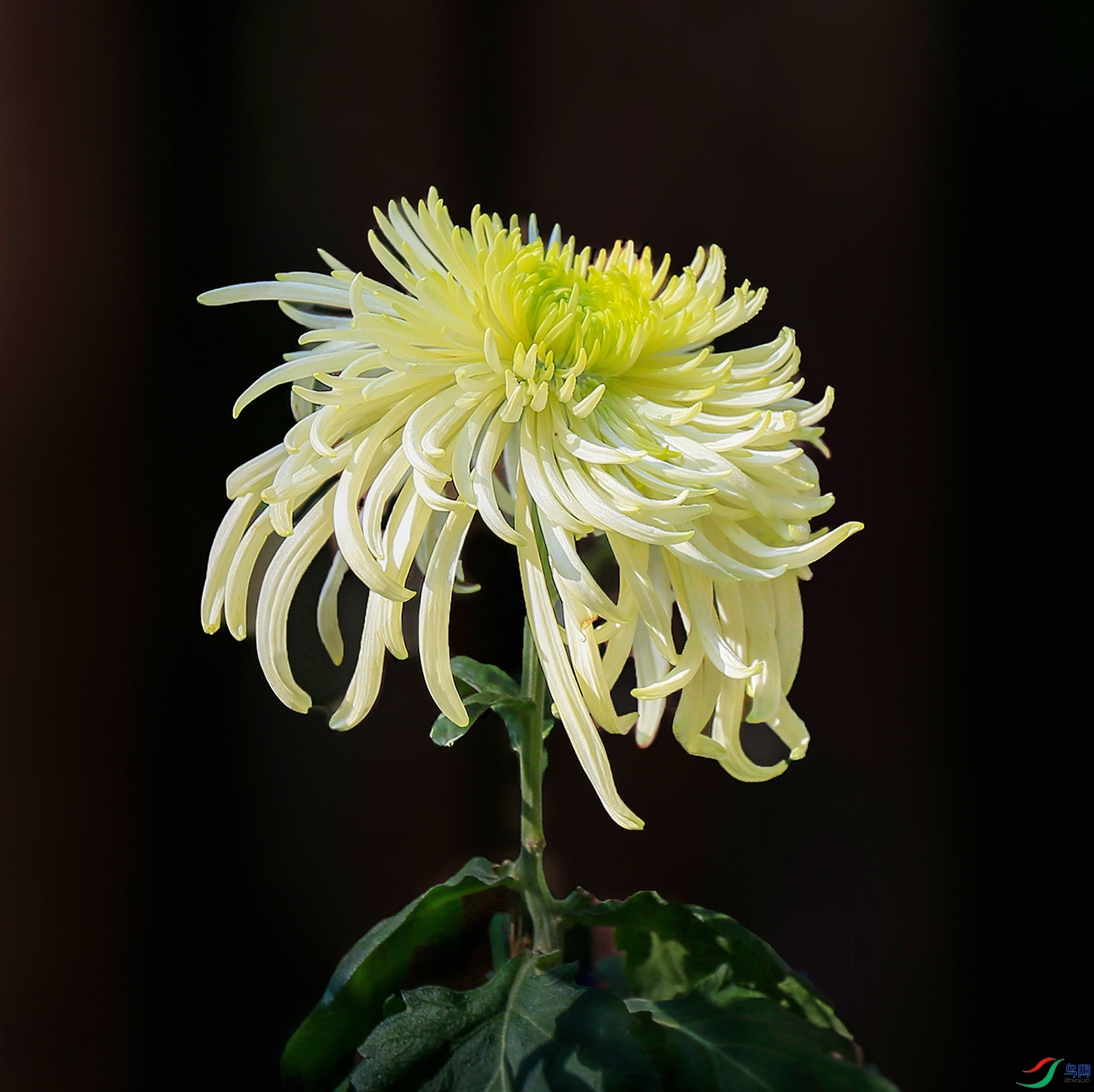 001505832IMG_0824 ����1000k.jpg