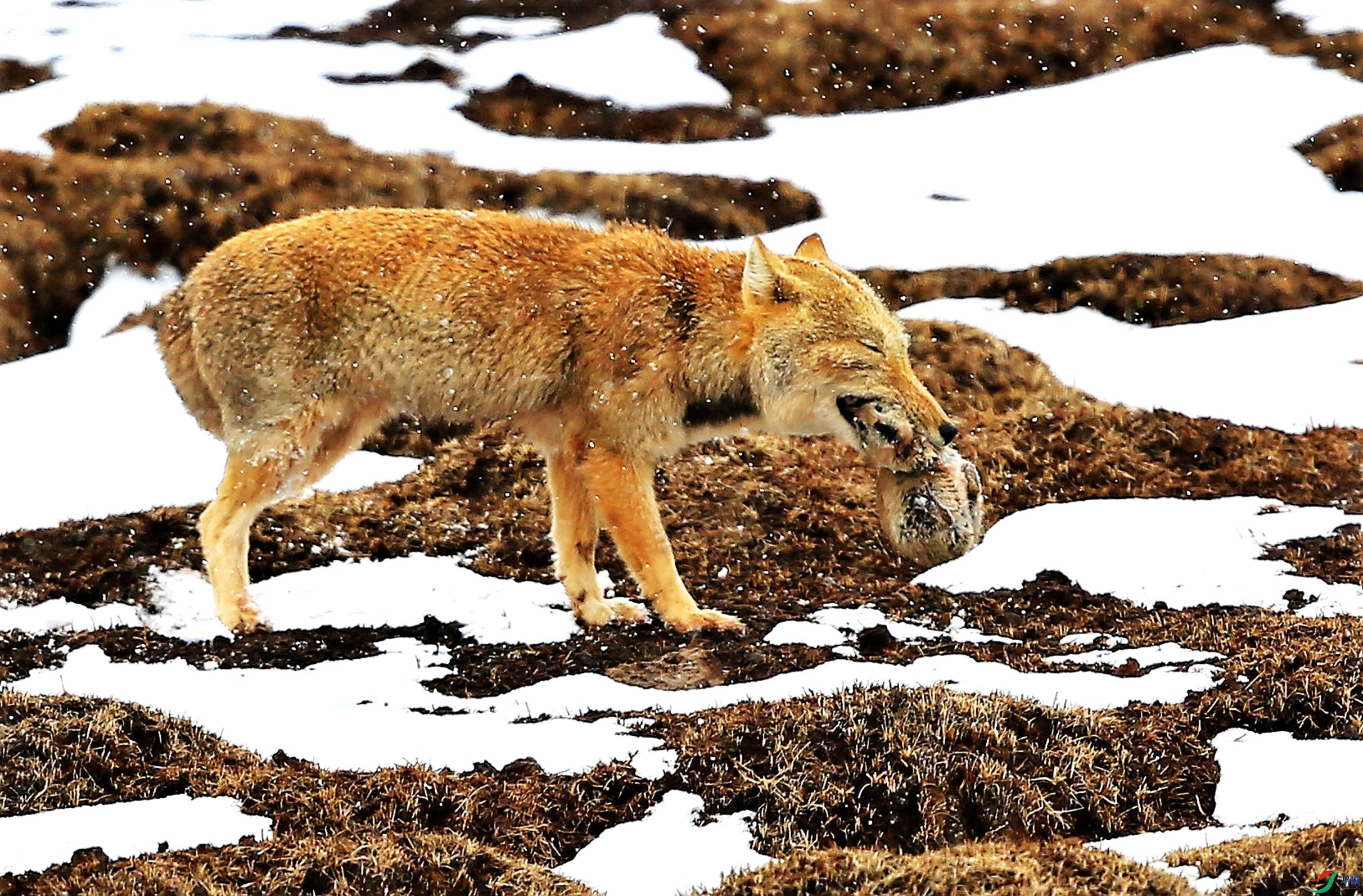 317����Ұ������ (98).JPG