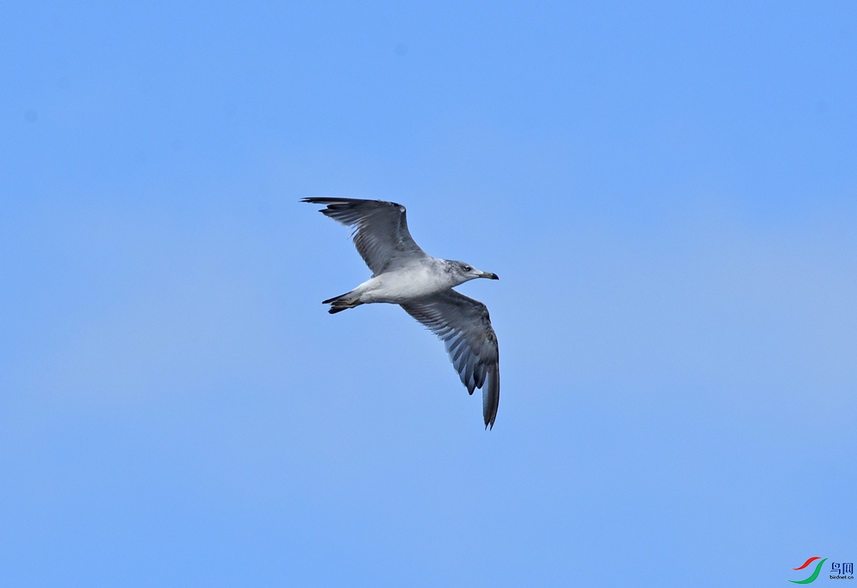 DSC_2254.jpg