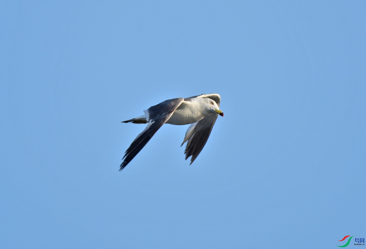 DSC_5319.jpg