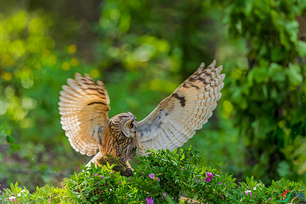 jlcyR230606 (4270)_DxO.jpg