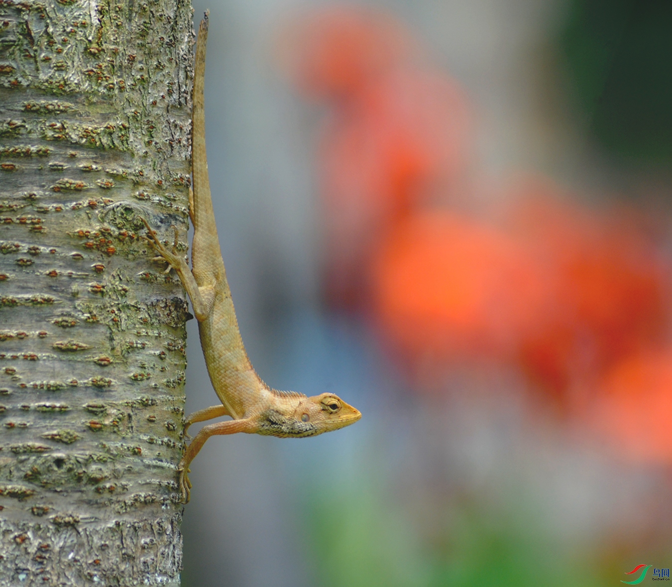 DSC_4107_.jpg