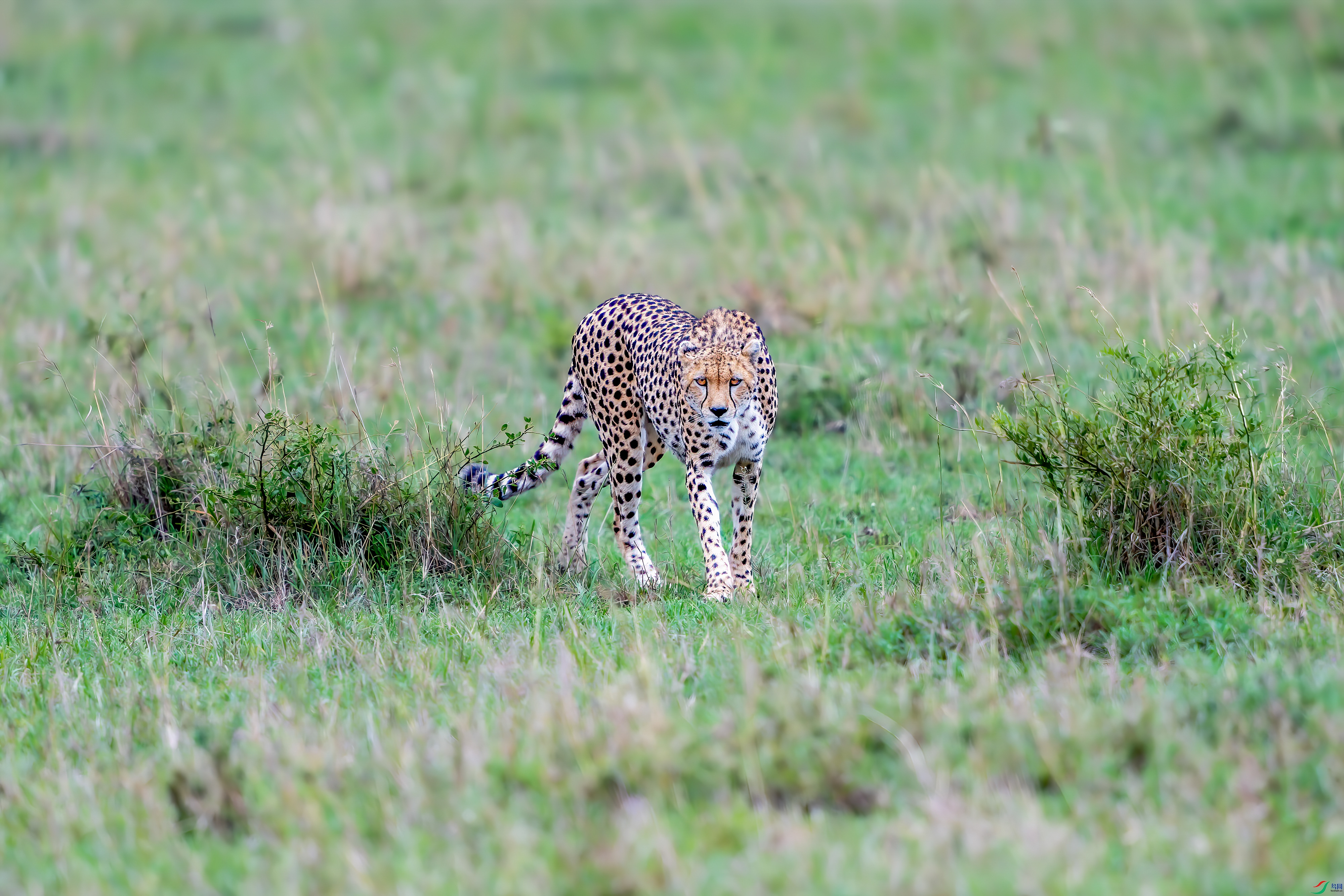 DSC_0705_1.jpg