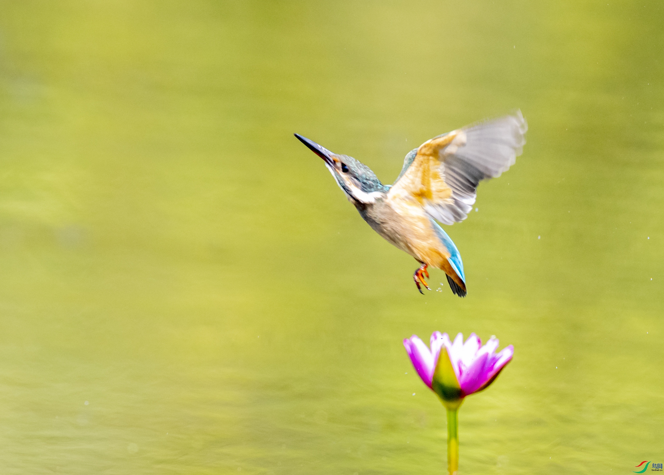 0244 ����.jpg