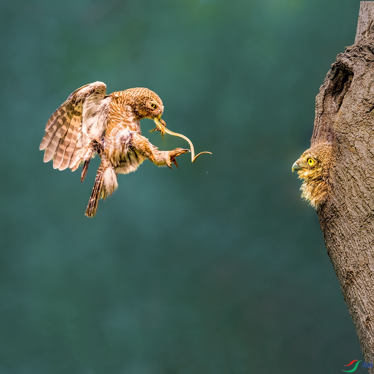 ��ͷ��m----��ϵ������