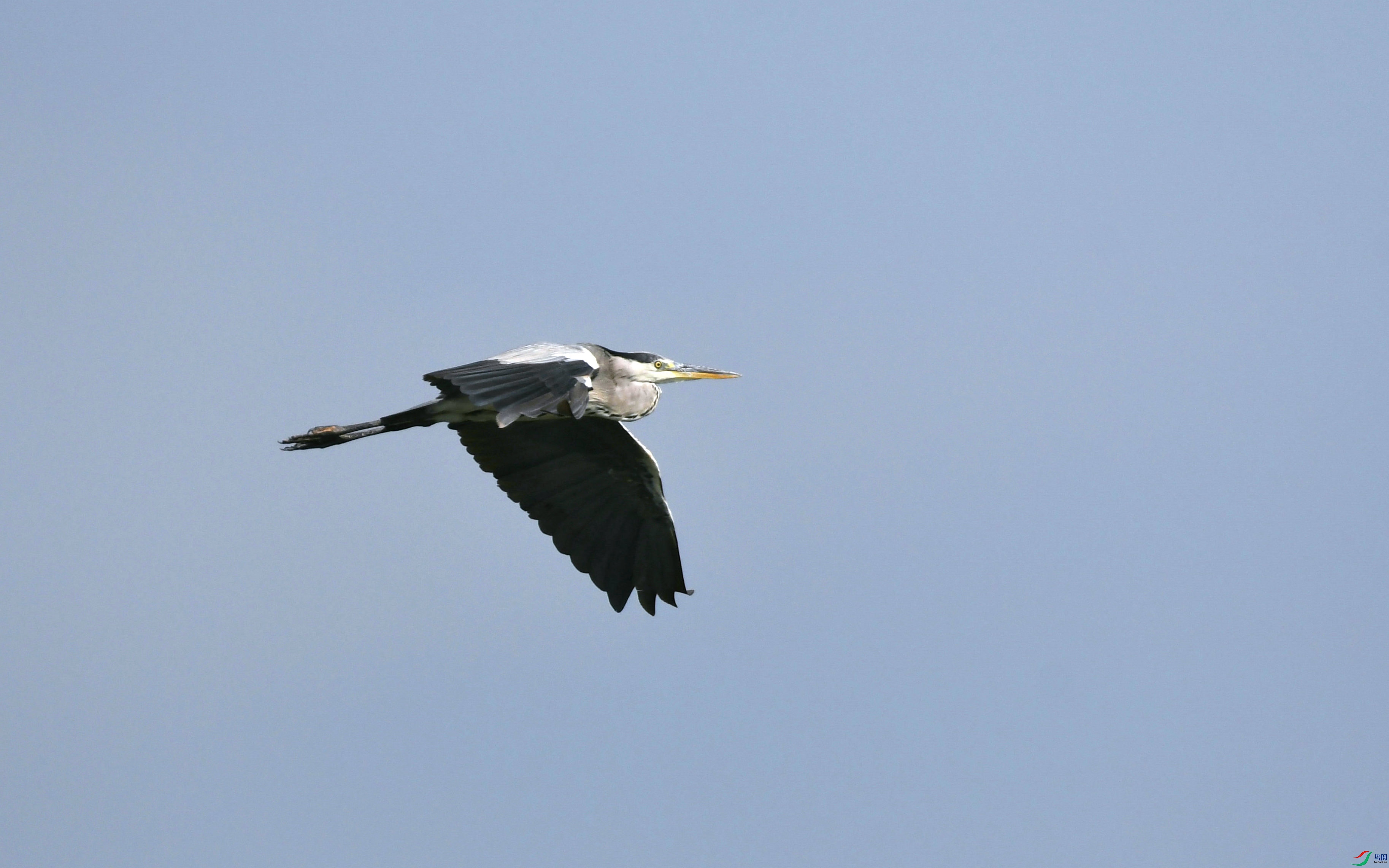 DSC_3652.JPG