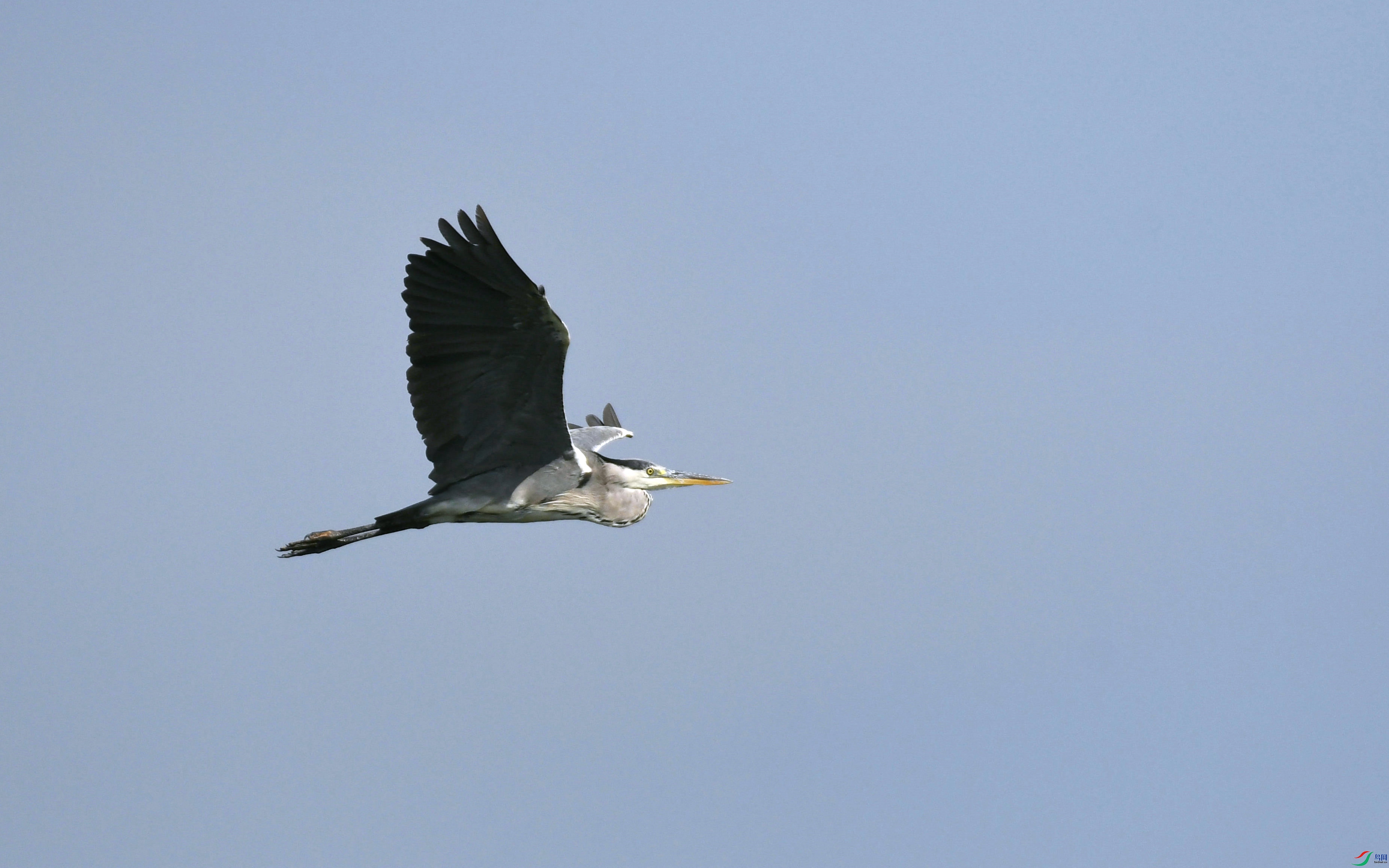 DSC_3651.JPG