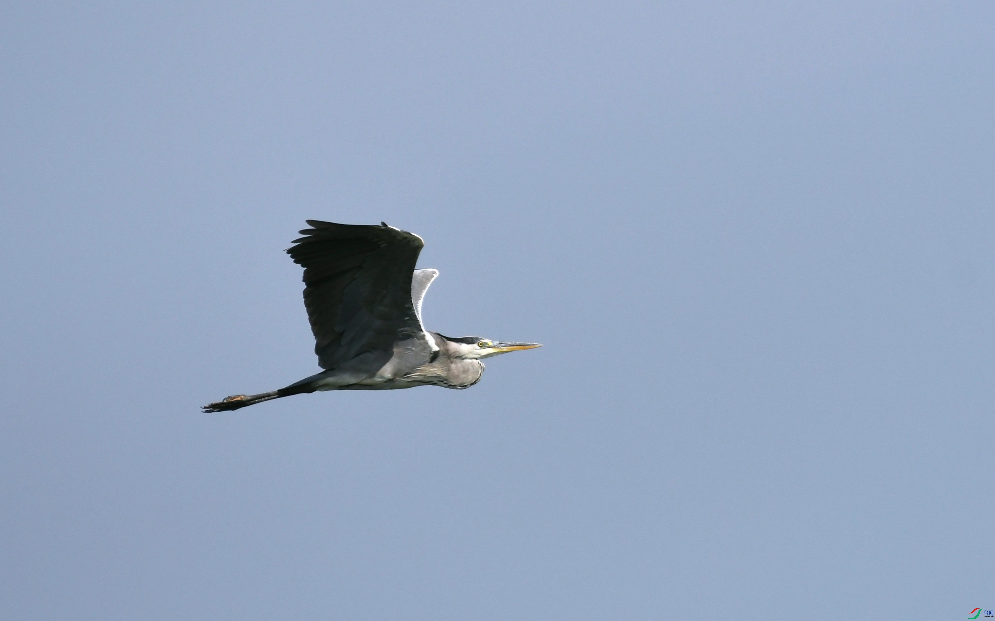 DSC_3654.JPG