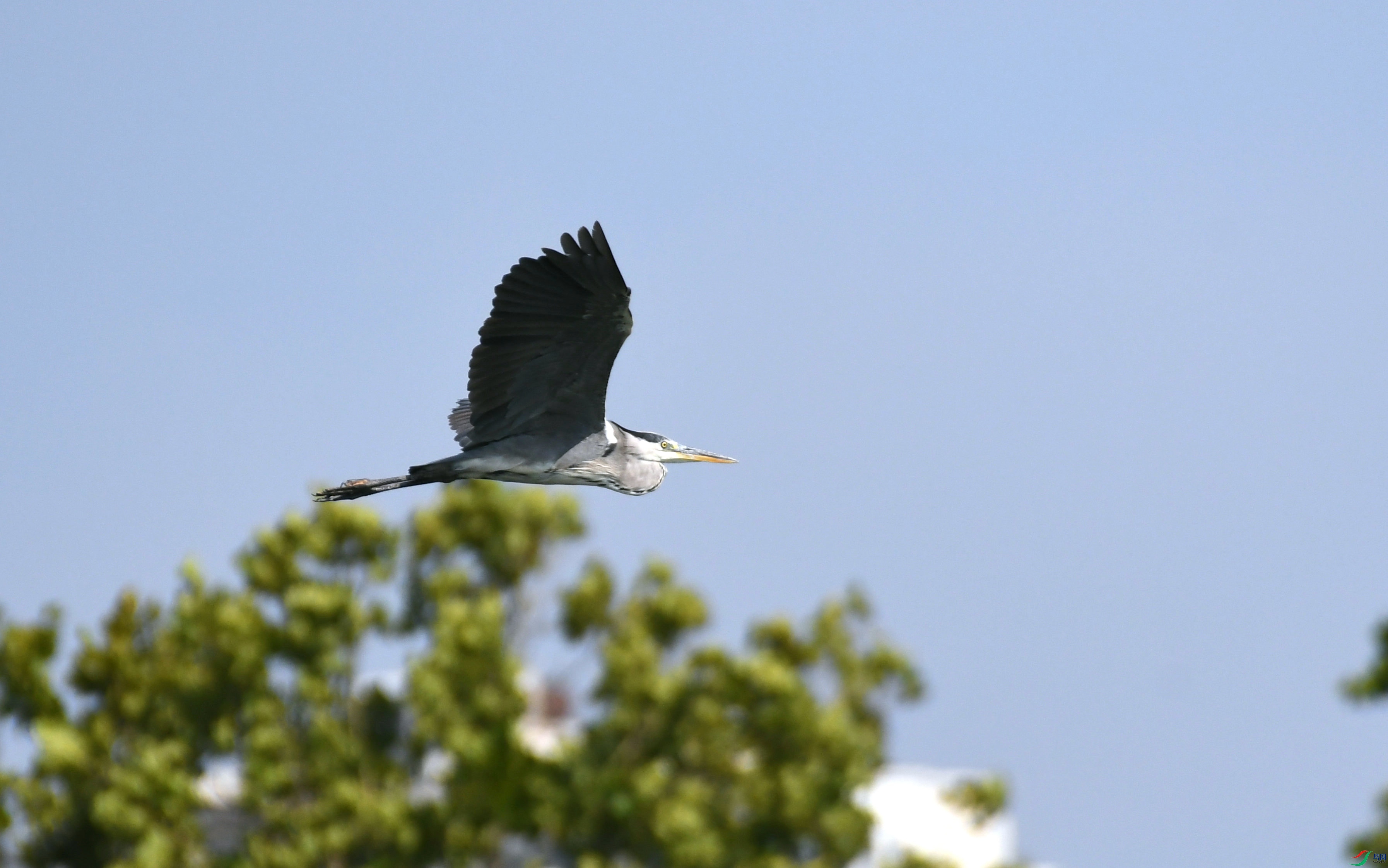 DSC_3656.JPG