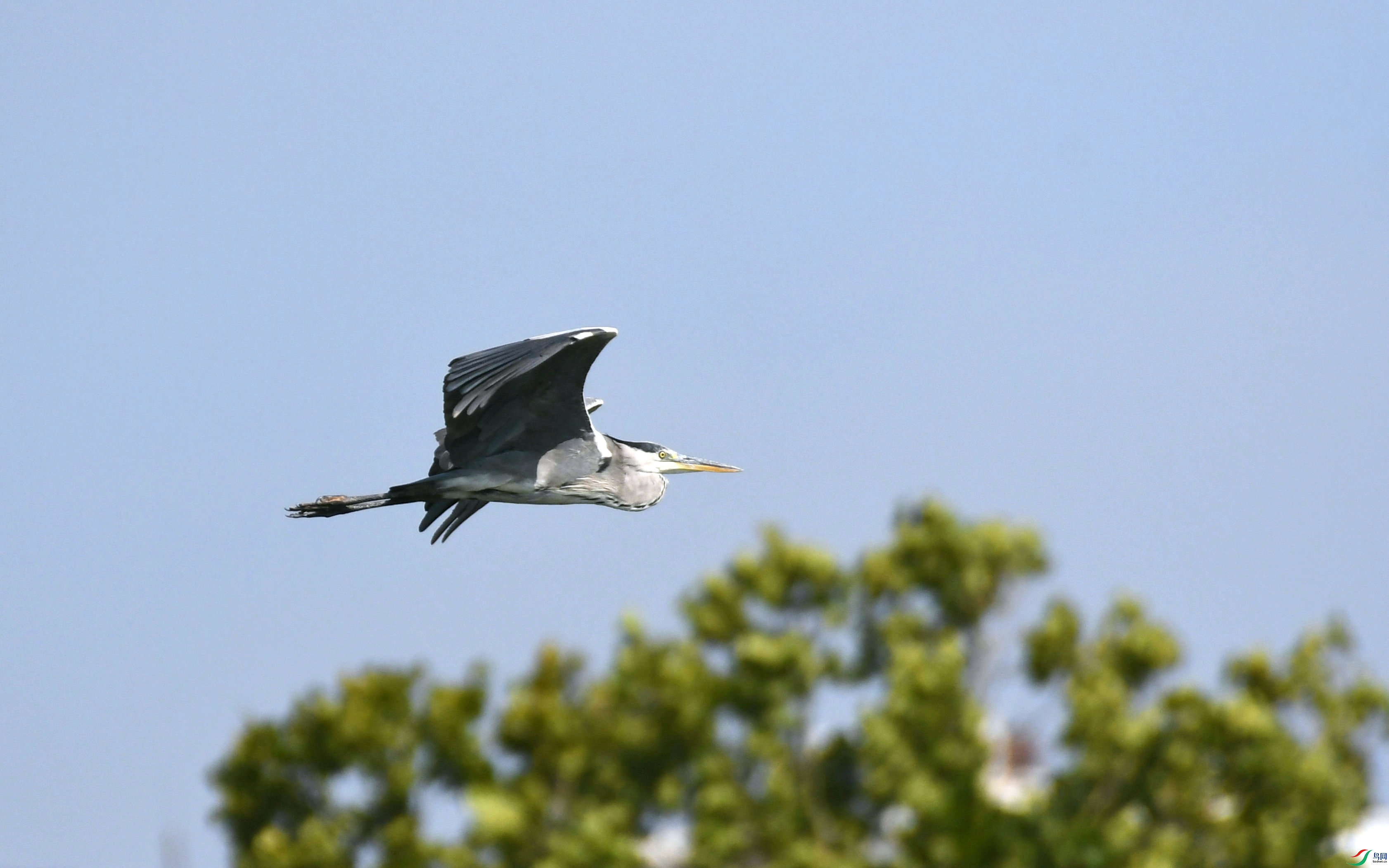 DSC_3655.JPG