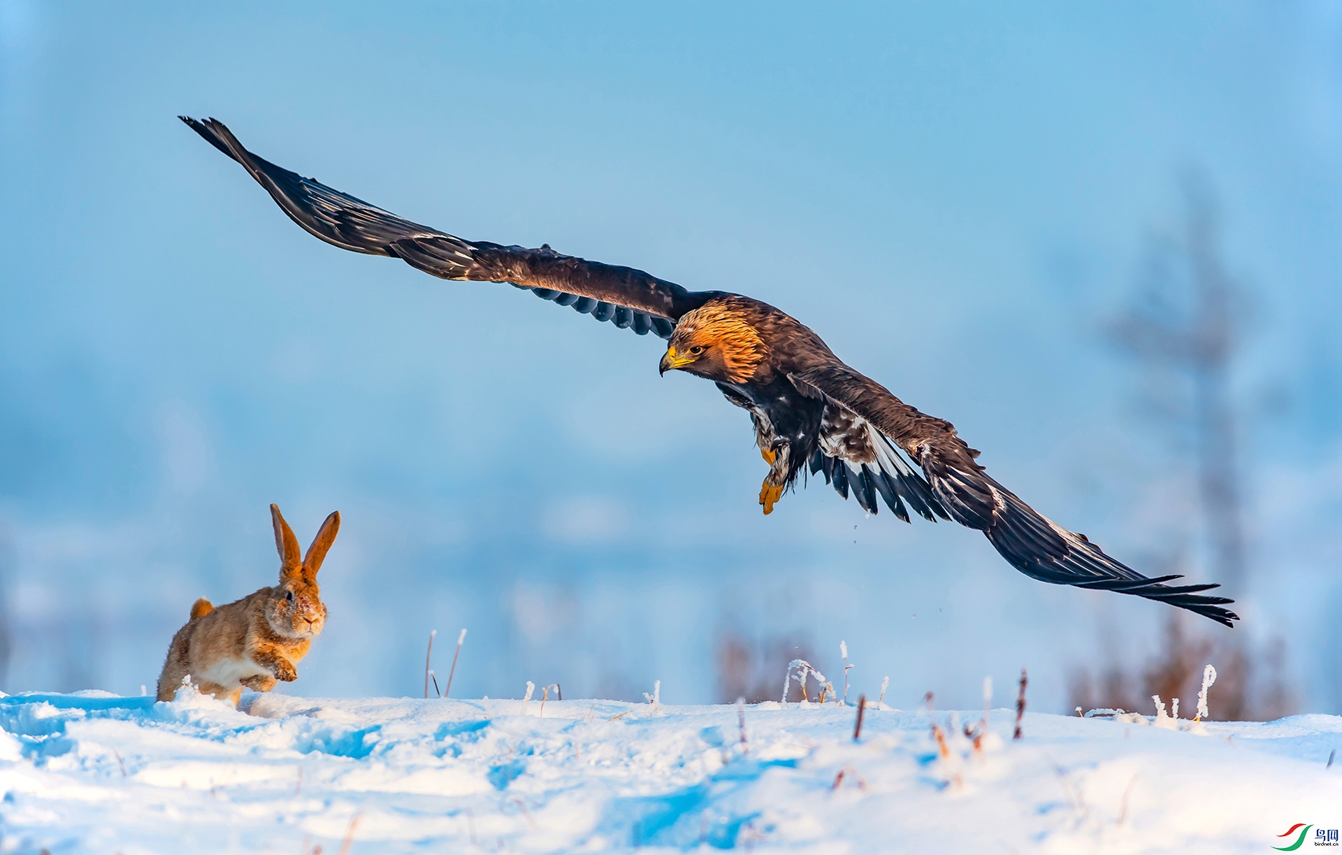 ��������  .jpg