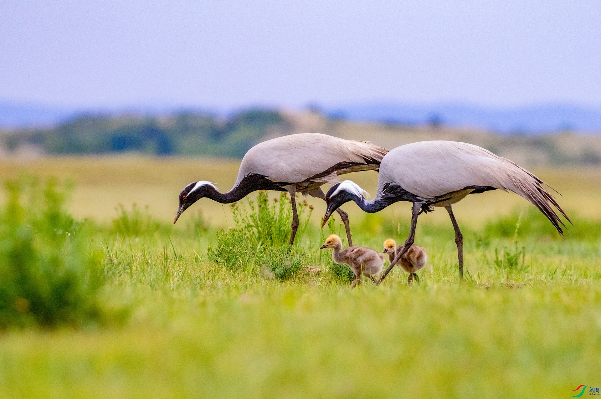 3S5A9903����  02.jpg