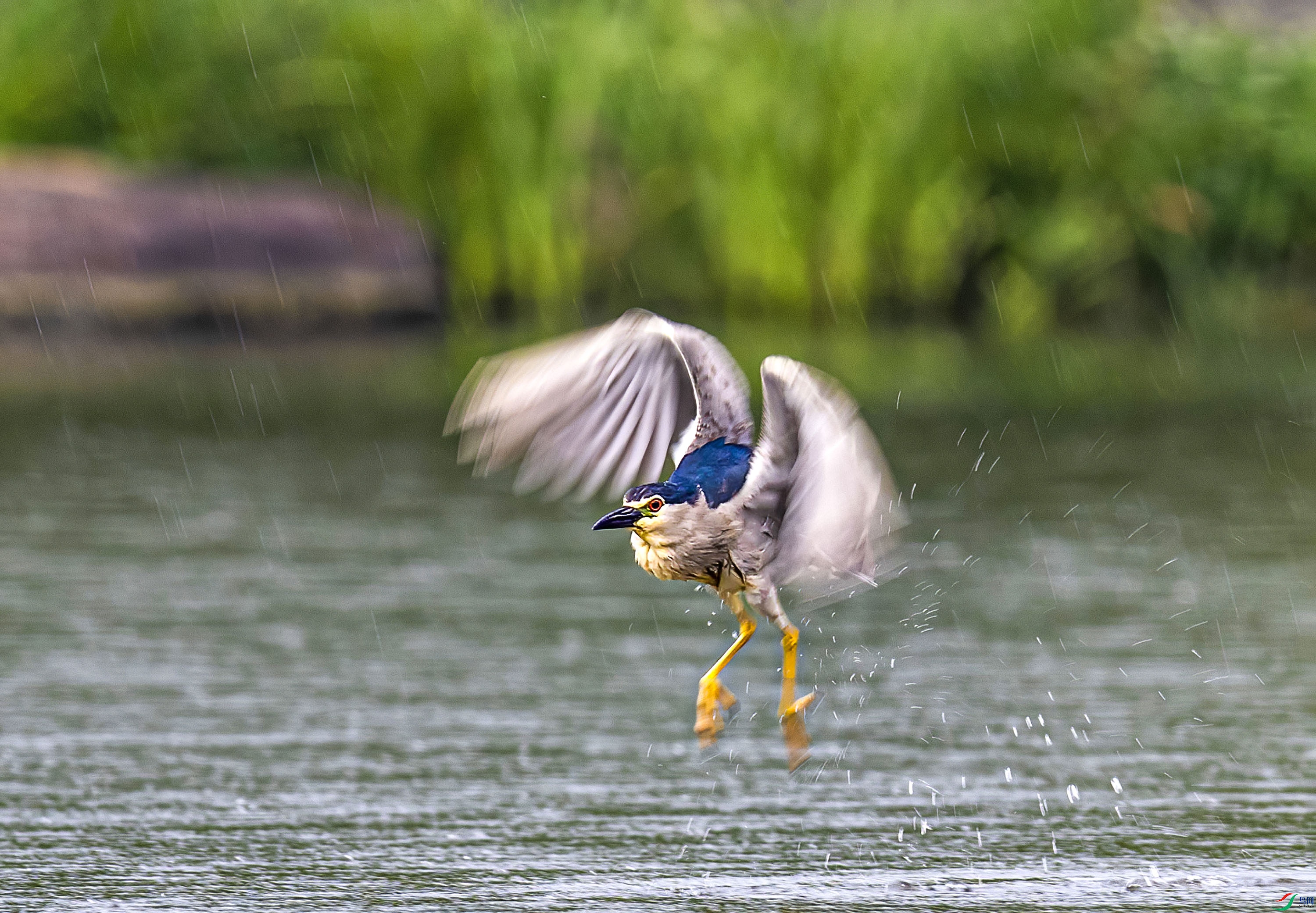 _JLN0588 1OK (1).jpg