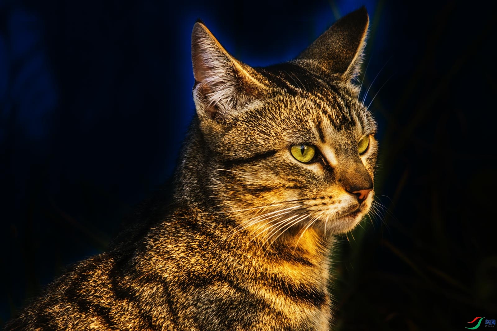DSC_0878.jpg