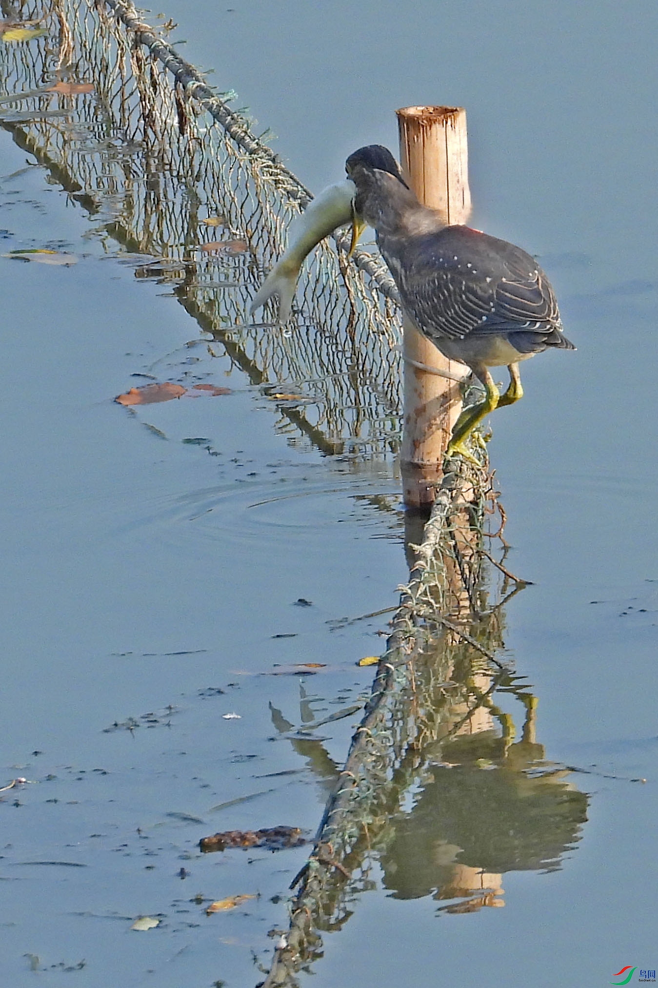 DSCN8615.JPG