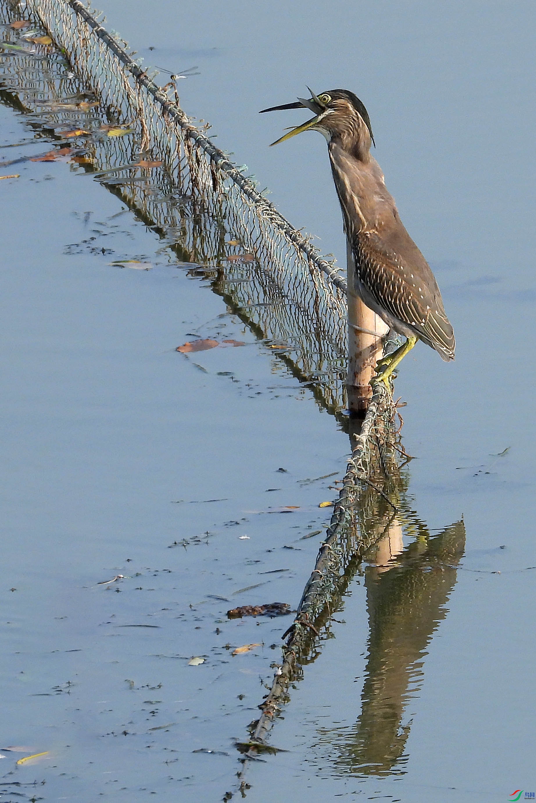 DSCN8618.JPG