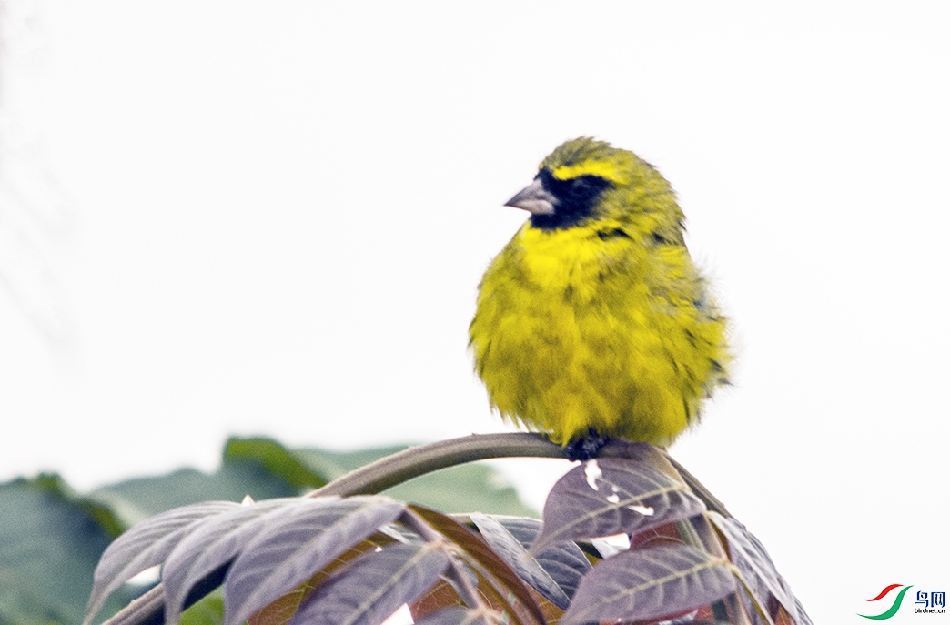 DSC_1578.jpg